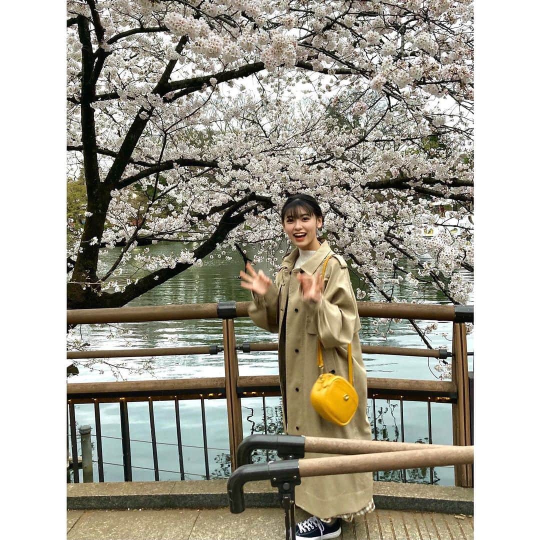 池田朱那さんのインスタグラム写真 - (池田朱那Instagram)「. どこも桜だらけでうれしい︎︎☺︎」3月29日 22時30分 - ikeda_akana