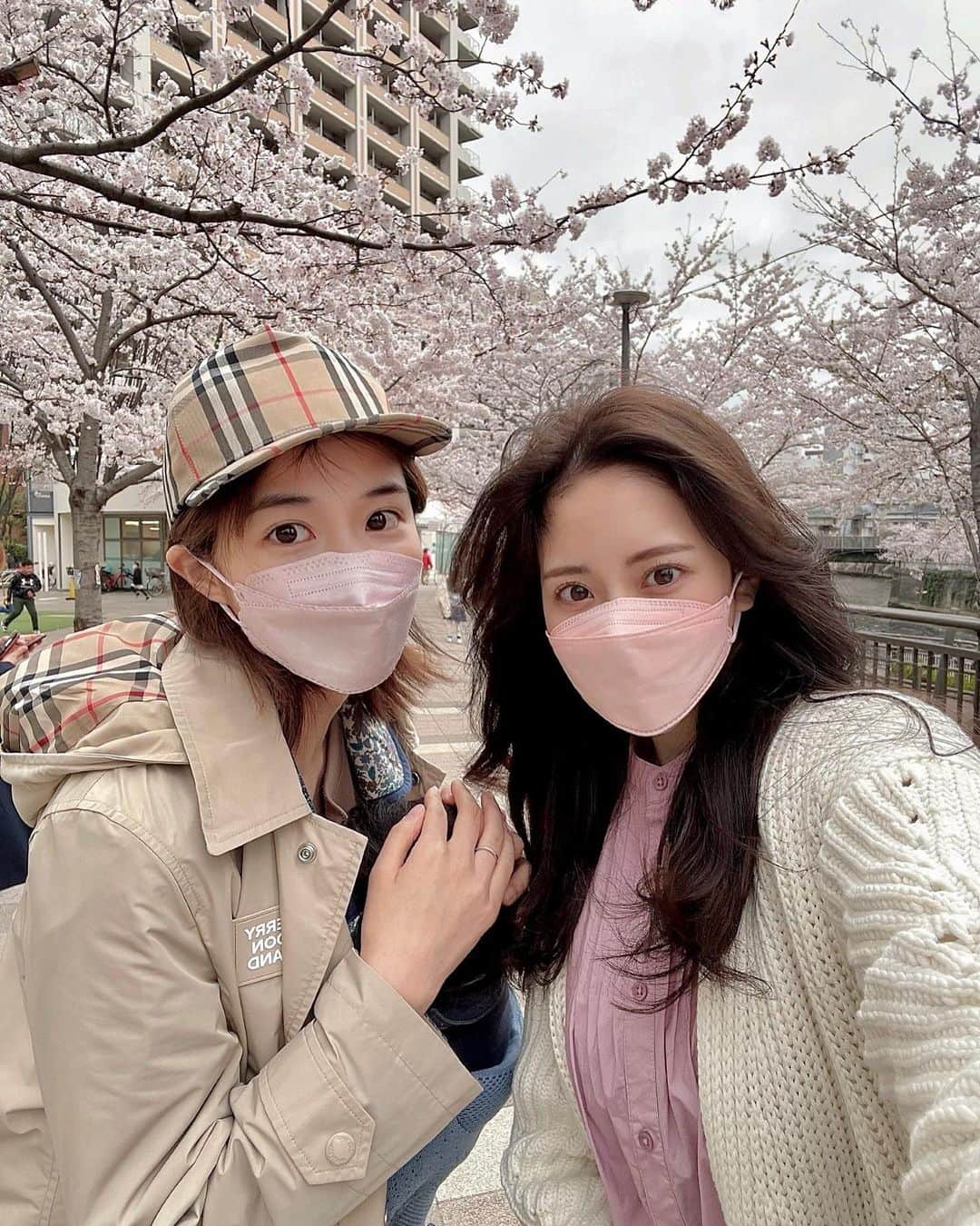 谷亜沙子さんのインスタグラム写真 - (谷亜沙子Instagram)「まいちゃんとベイビーくんとお花見🌸🌸 桜満開ですね🌸 ずっと続けば良いよね🌸  お花見しながらたこ焼きとカツ丼食べたよ🌸  #sakura」3月30日 6時14分 - asyakodayo