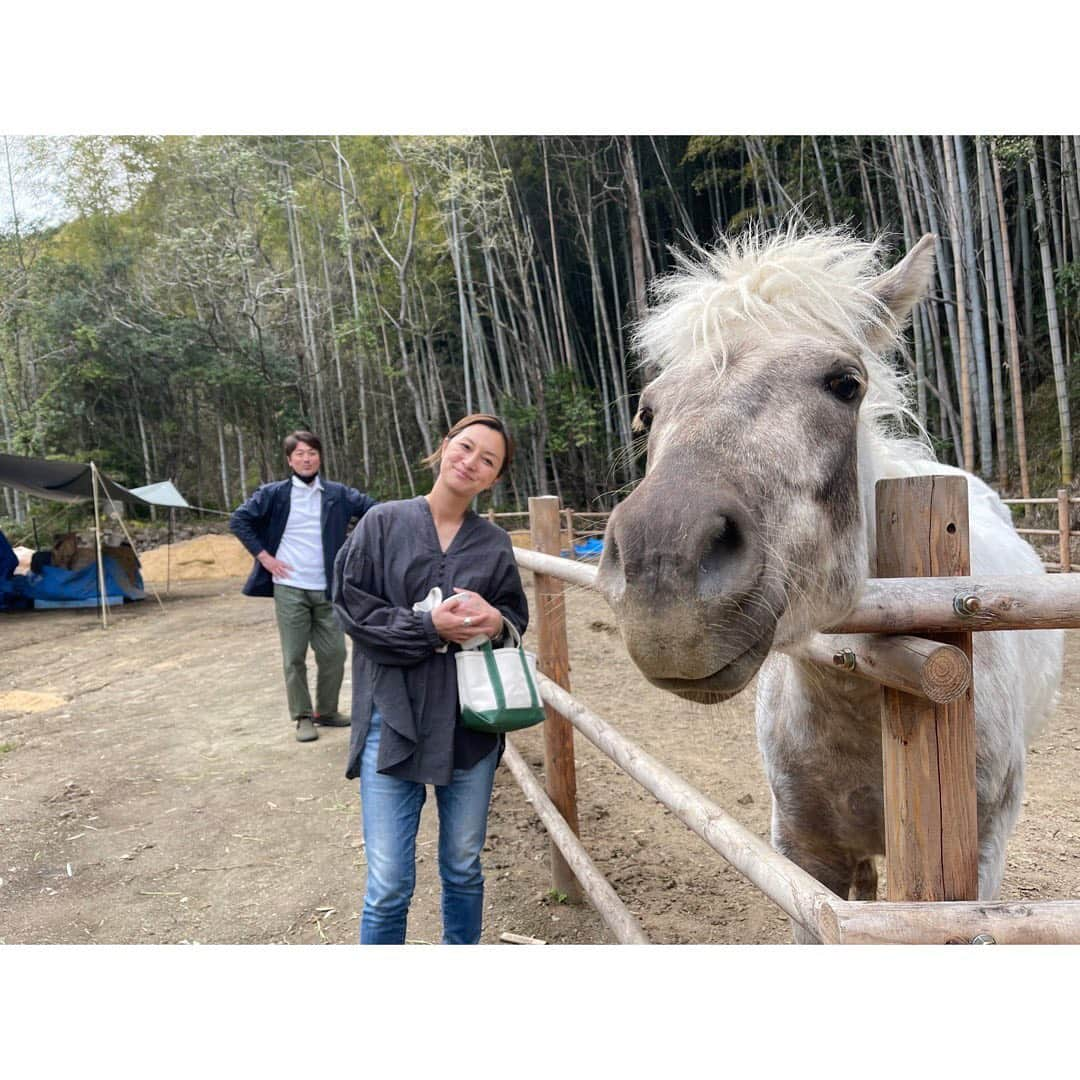 伴都美子さんのインスタグラム写真 - (伴都美子Instagram)「✔️ ⁡ 先日ご縁に恵まれ､花の香酒造さん @hananokashuzo へ伺いました。 ⁡ 神田社長のお人柄と酒造りの哲学､ もの作りへの姿勢やビジョンに益々興味が深まりました｡  敷居の高いイメージの日本酒でしたが 何はともあれ飲んでみよう！  水野さん @aquafields  神田社長 @kiyotakakanda  貴重なお時間とお話をありがとうございました。 ⁡ ⁡ 芝犬のウメちゃんと馬の菊乃進。 人懐っこくて可愛いかった！ ⁡  ⁡ #伴都美子  #doasinfinity  #花の香酒造  #日本酒 #sake  #産土 #熊本 #玉名 #和水町」3月30日 11時46分 - van._doasinfinity