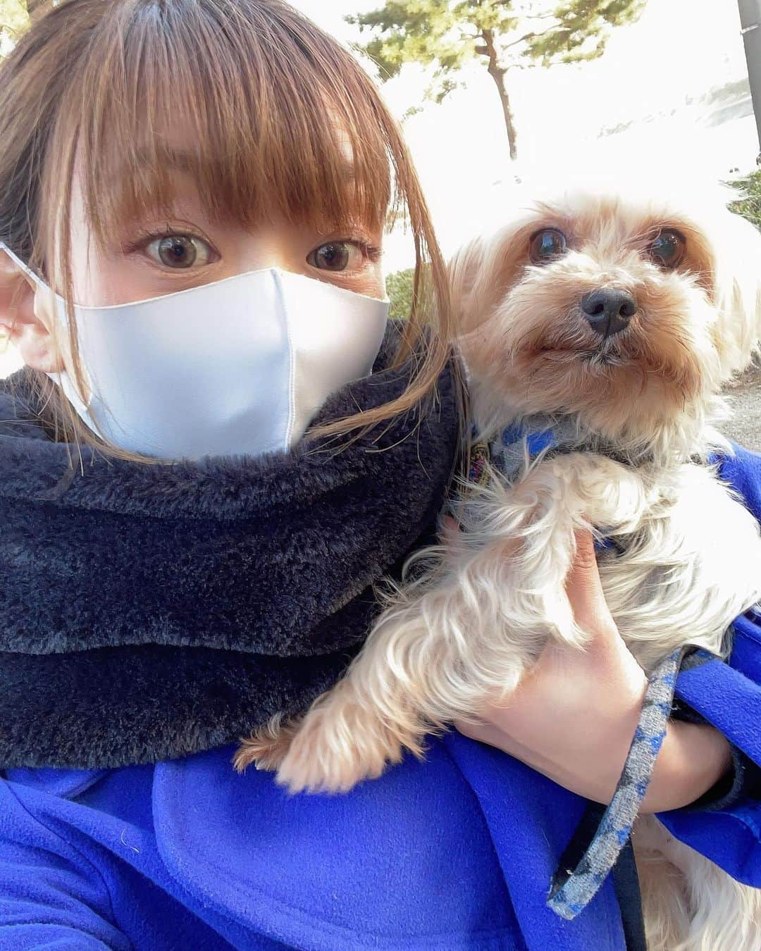 下田紗弥加さんのインスタグラム写真 - (下田紗弥加Instagram)「. めいたろー様🐶❤︎  #yorkshireterrier #yorkie #doglife #driftlife #下田紗弥加」3月30日 20時18分 - sayaka419