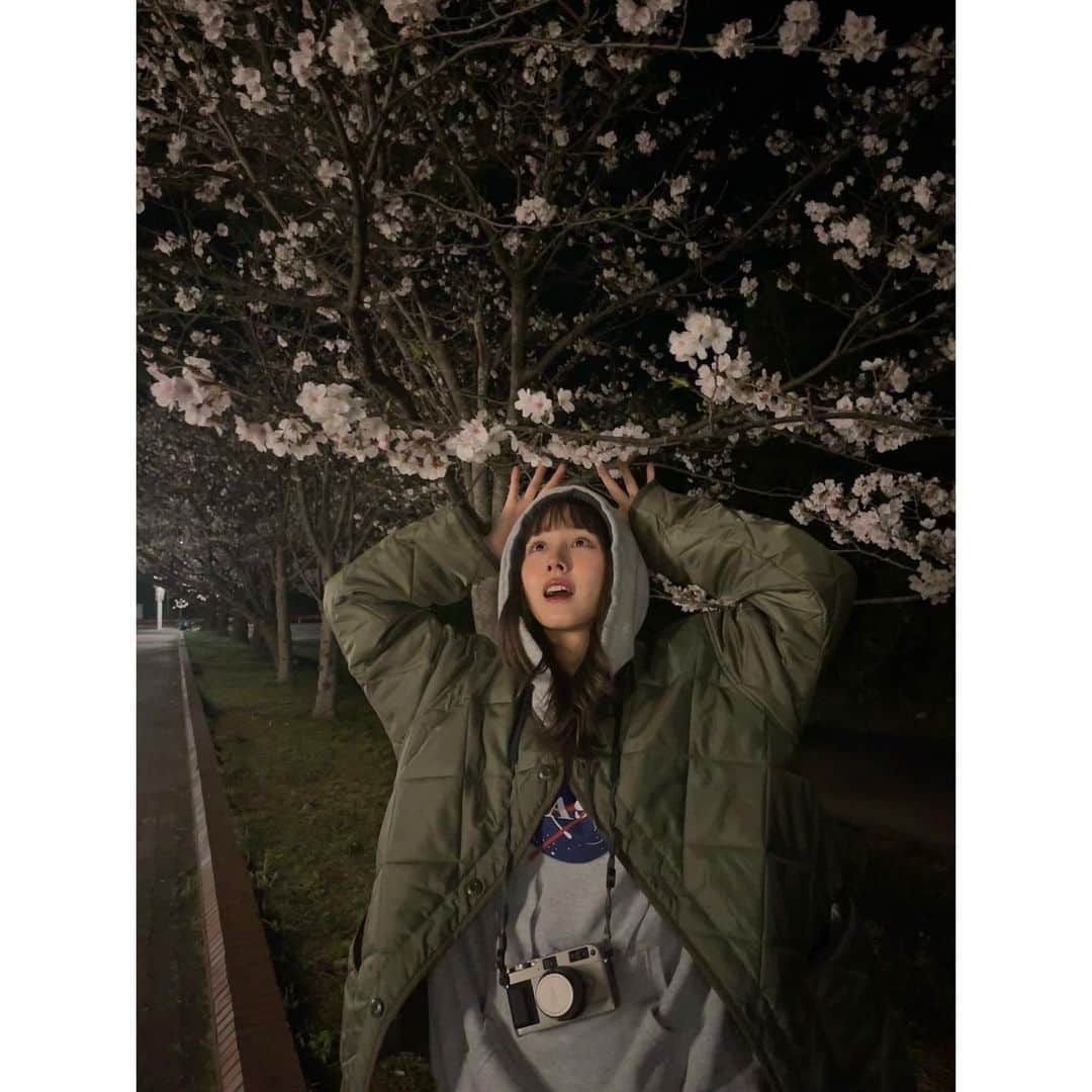 鹿の間さんのインスタグラム写真 - (鹿の間Instagram)「みんなもう桜みた〜？  夜寒かったのでセブンコーヒーと共に夜桜散歩したよ。桜が星みたい、降ってるように見える🌸  あ！前髪ぱっつんにしたよー、どうかな？？  #桜 #夜桜」3月30日 20時22分 - rhodon41