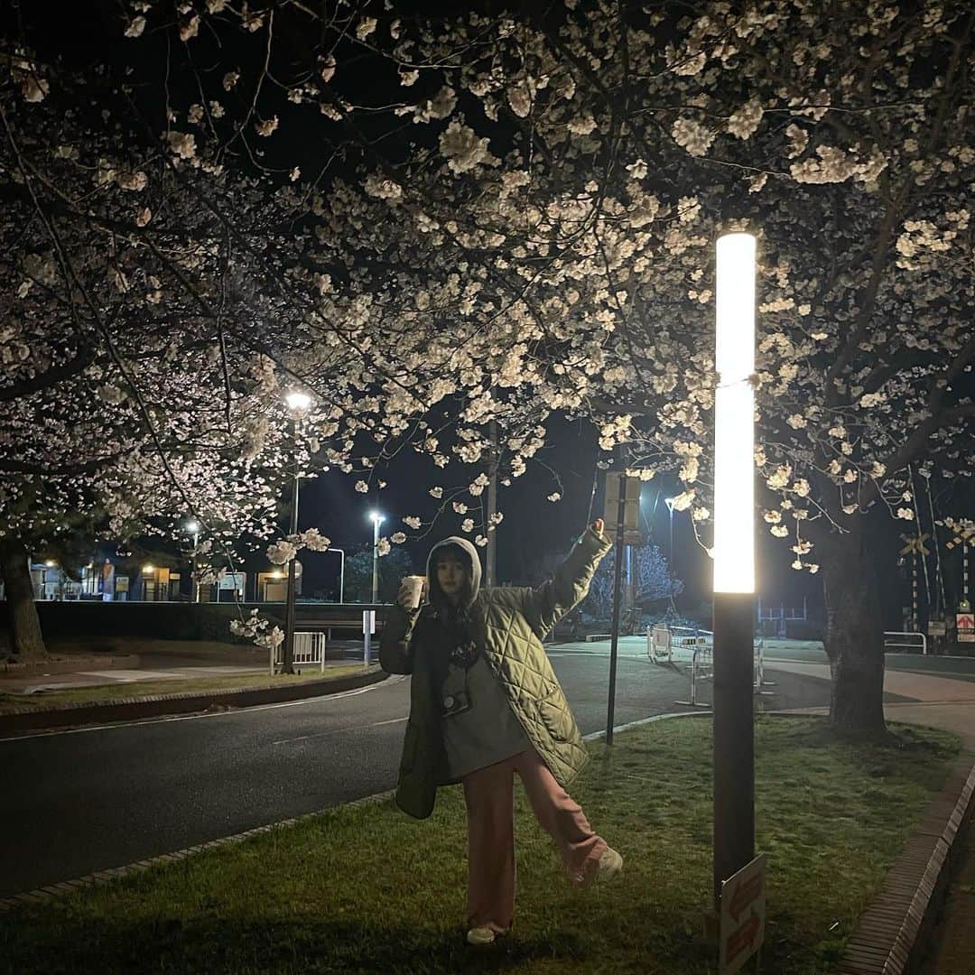 鹿の間さんのインスタグラム写真 - (鹿の間Instagram)「みんなもう桜みた〜？  夜寒かったのでセブンコーヒーと共に夜桜散歩したよ。桜が星みたい、降ってるように見える🌸  あ！前髪ぱっつんにしたよー、どうかな？？  #桜 #夜桜」3月30日 20時22分 - rhodon41