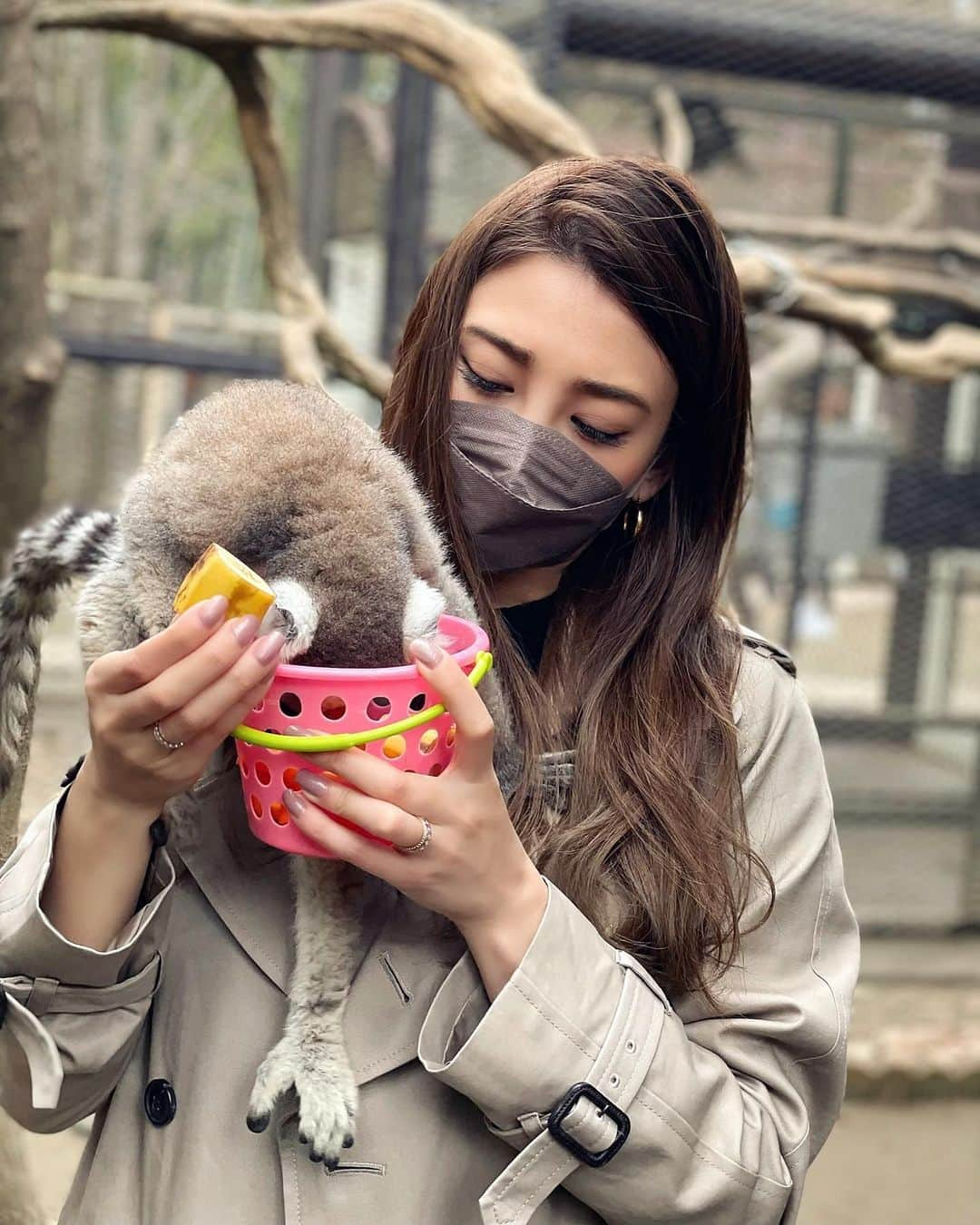 里海さんのインスタグラム写真 - (里海Instagram)「桜が満開のこのいい季節の今日 産んでもらい、母に感謝です🌸  本日また１つ歳をとりました🌸  昔から大好きな本の #星になった少年   映画もあります☺️何度も見るほど 大好きでして  舞台でもある、ここ　#市原ぞうの国 も 私の大好きな場所☺️  お誕生日のお祝いで行ってきました☺️ わたしにとっては、パラダイス🥰  読んだことや観たことがある人は わかると思いますが ゾウのランディ君もまだまだ元気です✨ 私の６個年上です🐘 ほっぺの♡マークがポイントで すぐにわかります🥰  チンパンジーの、スマイルも元気です🐵❤️  この場所は、もう何十回も訪れているほどオススメなので 是非みなさんも🥰  あ〜動物と触れ合えて 幸せな誕生日が過ごせました❤️  #市原ぞうの国 #さゆりわーるど　#ゾウ　#カピバラ　#キリン　#お猿さん　#ワオキツネザル #キツネザル　#チンパンジー　#チンパンジースマイル　#チンパンジーのスマイル」3月30日 23時01分 - satoumi0330