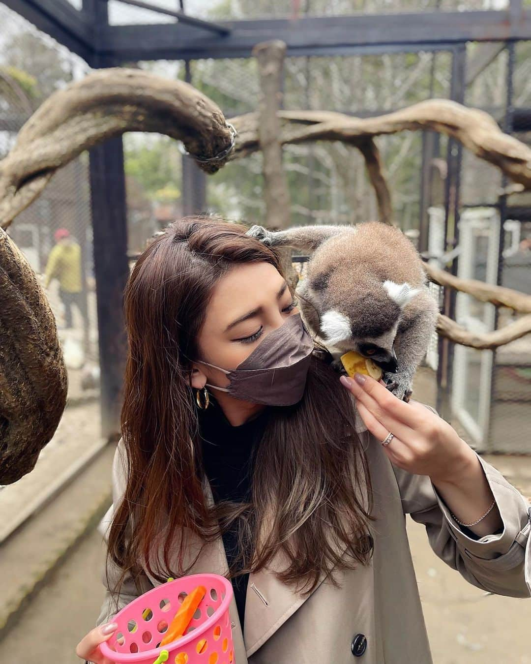 里海さんのインスタグラム写真 - (里海Instagram)「桜が満開のこのいい季節の今日 産んでもらい、母に感謝です🌸  本日また１つ歳をとりました🌸  昔から大好きな本の #星になった少年   映画もあります☺️何度も見るほど 大好きでして  舞台でもある、ここ　#市原ぞうの国 も 私の大好きな場所☺️  お誕生日のお祝いで行ってきました☺️ わたしにとっては、パラダイス🥰  読んだことや観たことがある人は わかると思いますが ゾウのランディ君もまだまだ元気です✨ 私の６個年上です🐘 ほっぺの♡マークがポイントで すぐにわかります🥰  チンパンジーの、スマイルも元気です🐵❤️  この場所は、もう何十回も訪れているほどオススメなので 是非みなさんも🥰  あ〜動物と触れ合えて 幸せな誕生日が過ごせました❤️  #市原ぞうの国 #さゆりわーるど　#ゾウ　#カピバラ　#キリン　#お猿さん　#ワオキツネザル #キツネザル　#チンパンジー　#チンパンジースマイル　#チンパンジーのスマイル」3月30日 23時01分 - satoumi0330