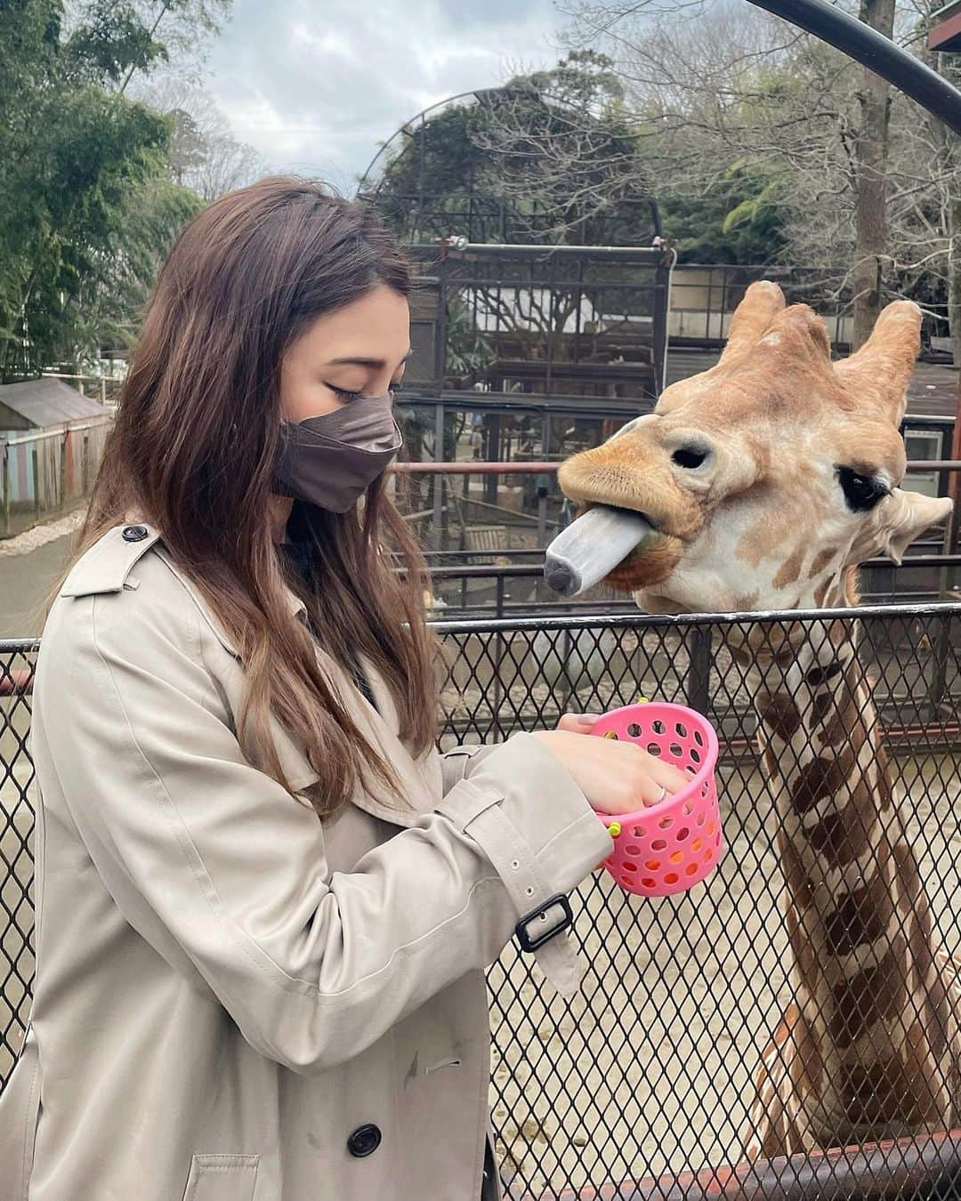 里海さんのインスタグラム写真 - (里海Instagram)「桜が満開のこのいい季節の今日 産んでもらい、母に感謝です🌸  本日また１つ歳をとりました🌸  昔から大好きな本の #星になった少年   映画もあります☺️何度も見るほど 大好きでして  舞台でもある、ここ　#市原ぞうの国 も 私の大好きな場所☺️  お誕生日のお祝いで行ってきました☺️ わたしにとっては、パラダイス🥰  読んだことや観たことがある人は わかると思いますが ゾウのランディ君もまだまだ元気です✨ 私の６個年上です🐘 ほっぺの♡マークがポイントで すぐにわかります🥰  チンパンジーの、スマイルも元気です🐵❤️  この場所は、もう何十回も訪れているほどオススメなので 是非みなさんも🥰  あ〜動物と触れ合えて 幸せな誕生日が過ごせました❤️  #市原ぞうの国 #さゆりわーるど　#ゾウ　#カピバラ　#キリン　#お猿さん　#ワオキツネザル #キツネザル　#チンパンジー　#チンパンジースマイル　#チンパンジーのスマイル」3月30日 23時01分 - satoumi0330