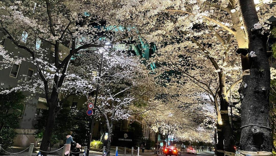 岡安弥生さんのインスタグラム写真 - (岡安弥生Instagram)「夜桜散歩。#桜のトンネル#綺麗#夜桜#満開#うっとり#cherryblossom #nice#whatanight #tokyo」3月31日 2時36分 - yayoin3