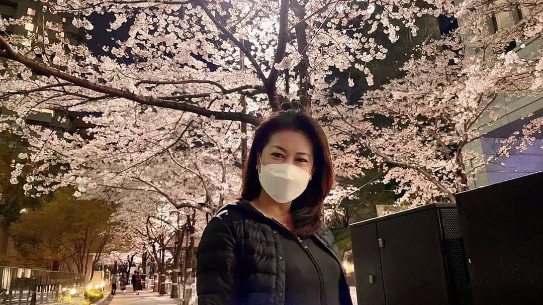 岡安弥生さんのインスタグラム写真 - (岡安弥生Instagram)「夜桜散歩。#桜のトンネル#綺麗#夜桜#満開#うっとり#cherryblossom #nice#whatanight #tokyo」3月31日 2時36分 - yayoin3