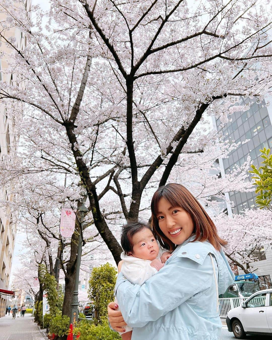 庄司ゆうこさんのインスタグラム写真 - (庄司ゆうこInstagram)「桜満開🌸🌸🌸 恵比寿から広尾に行くとき、明治通り沿いが桜満開でテンション上がります✨ この道は毎日チャリで通ってるんだけど、風が強い日は桜吹雪になってるよーっ🤗 あっという間に散っちゃうんだろなぁ😢 #桜#桜満開#お花見#明治通り#生後1ヶ月#男の子ママ#男の子ベビー#女の子#2歳11ヶ月#2人育児#一姫二太郎#こどものいる暮らし」3月31日 11時44分 - yuko.shoji