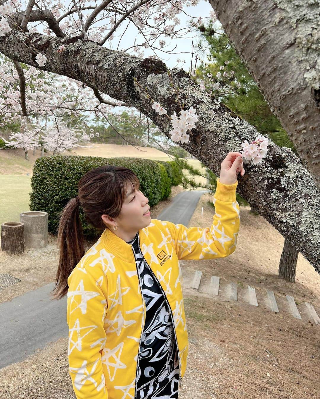 吉田沙保里さんのインスタグラム写真 - (吉田沙保里Instagram)「今日は暖かくてゴルフ日和でしたぁー⛳️🏌️‍♀️ ゴルフ場にもたくさんの桜が咲いてて綺麗でした🌸🌸🌸 スコアは良くなかったけど、楽しかったからOKってことにしよ😙👍  #ゴルフ日和 #桜 #春」3月31日 14時21分 - saori___yoshida