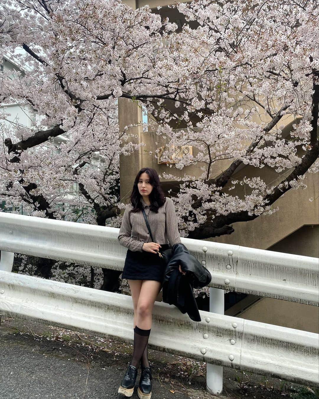 平田梨奈さんのインスタグラム写真 - (平田梨奈Instagram)「Sakura 🌸   そして髪色変えたよ！ 暗めにしてほんのり紫色入れたの❤︎ どうかな？  @kiho12_gunhee thank you!   @gunhee_tokyo   #hirafashion」3月31日 18時41分 - hirari_official