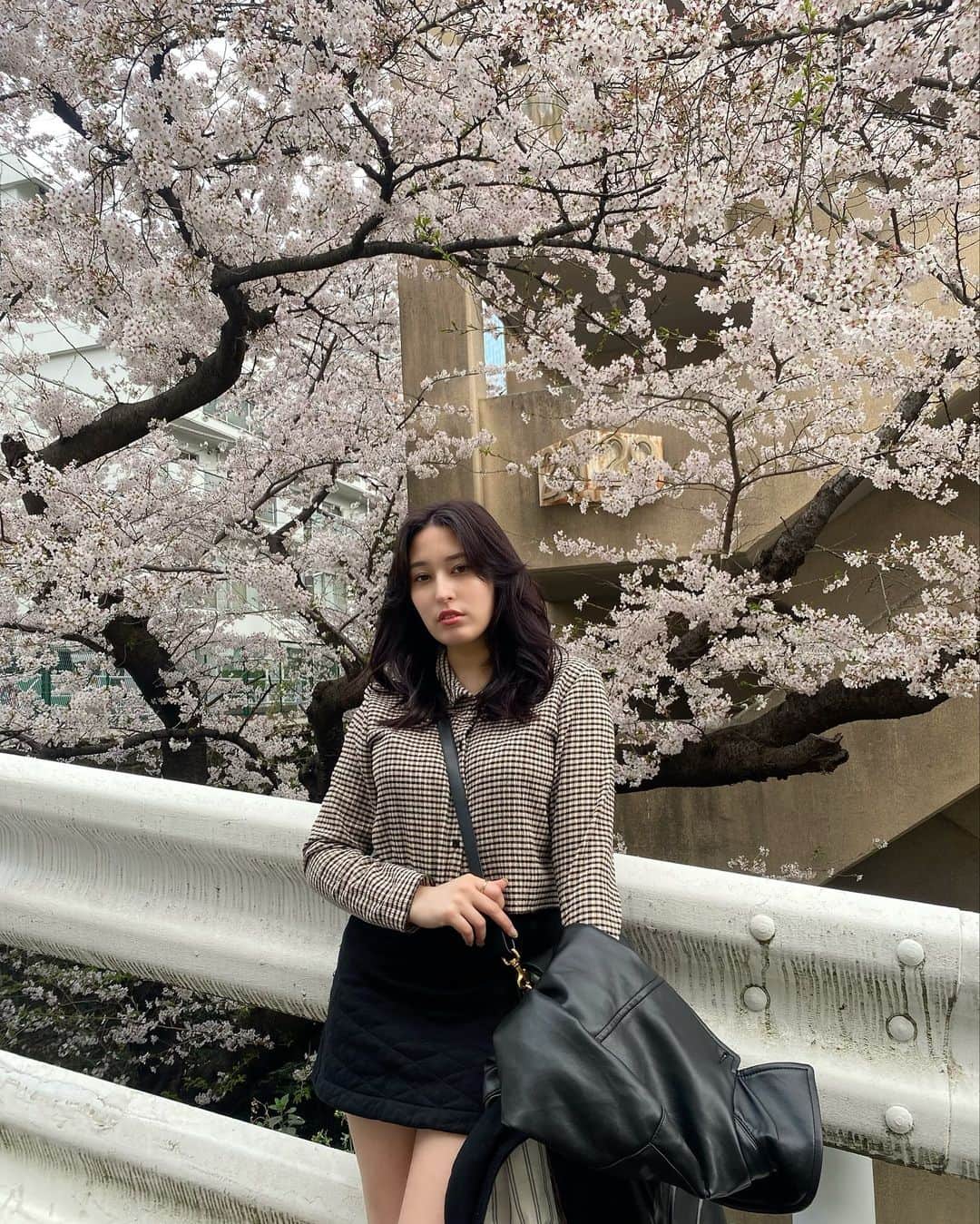 平田梨奈さんのインスタグラム写真 - (平田梨奈Instagram)「Sakura 🌸   そして髪色変えたよ！ 暗めにしてほんのり紫色入れたの❤︎ どうかな？  @kiho12_gunhee thank you!   @gunhee_tokyo   #hirafashion」3月31日 18時41分 - hirari_official