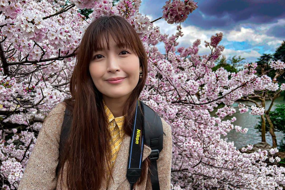 並木塔子さんのインスタグラム写真 - (並木塔子Instagram)「日々、桜ばかり。 カメラと共に過ごす日々は尊い。  #なんちゃってカメラマン #nikond40 #lightroom #桜 #お花見フォト #並木塔子 #元av女優」3月31日 19時21分 - namikichandayo