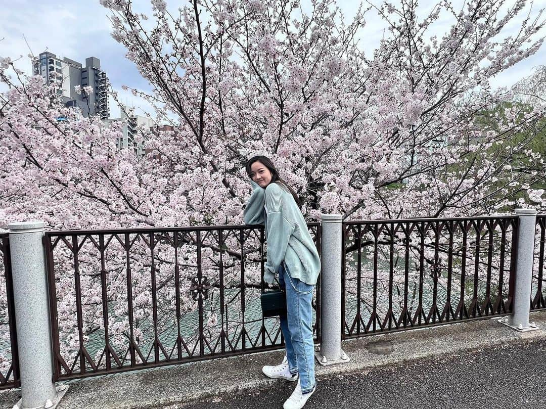 川瀬莉子さんのインスタグラム写真 - (川瀬莉子Instagram)「. 桜だーー🌸🌸🌸 花粉に目も鼻も攻撃されながらのお花見でした🫣️」3月31日 20時15分 - kawase_riko_official