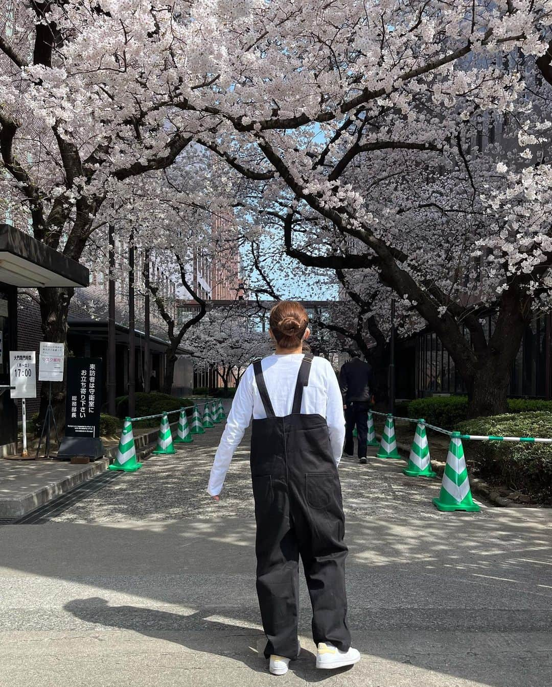 杉原愛子さんのインスタグラム写真 - (杉原愛子Instagram)「3月も今日で終わり😳 早いですね🥺 学校の桜は満開になっていて綺麗や✴✨🌸  このChampionさんのオーバーオールめっちゃ可愛くない😍❤️ 白のロンTもいい感じ💓 大学生活も残り1年😌 悔いなく色んなことにチャレンジして笑顔で頑張ろ💪❤️‍🔥  March ends today!! The cherry blossoms are beautiful🌸✨  #Champion #Championjp #BeYourOwnChampion #BYOC」3月31日 21時35分 - aiko_sugihara