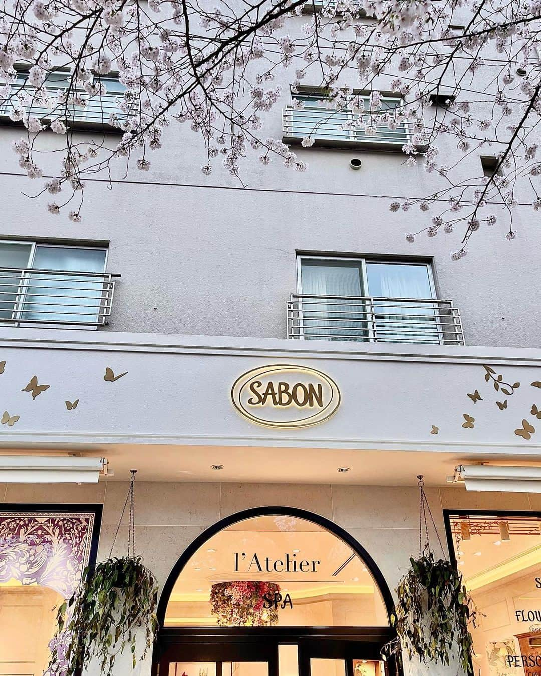 丸山悠美さんのインスタグラム写真 - (丸山悠美Instagram)「3月30日にオープンの 『SABON lʼAtelier SPA』@sabon_japan オープニングパーティへ  世界初の「SPA」を常設した旗艦店で SABONファンや 美容好きにはたまらない空間でした✨🛁  海外にいる気分を味わえそうな クラシックな雰囲気のスパルーム。 バスタブも可愛い♡ オールハンドトリートメントを受けて 身も心も癒されたい...💭  店内にはRINとコラボレーションした SABON × RIN「FLOWER SHOP」が併設されていて 廃棄予定のお花をドライフラワーとして アップサイクル💐 まだ美しいにもかかわらず、廃棄されてしまうお花を ドライフラワーとして楽しめるだなんて なんて素敵なんでしょう💕 今なら限定でフラワーシャンデリアも見ることができます🌸  PERSONAL SERVICEでは 刻印サービスやカリグラフィーのサービスが✨ SABONのアイテムを大切な人への 世界で一つだけのギフトとして 贈ることが出来ます🕊 私はバタフライプレートに名前を刻印していただきました🦋  #SABON #SABONiʼatelierspa #sabonad#サボン#SABONスパ #SABON大好き#sabonボディスクラブ#スパ#エステ#美容好き #FLOWERSHOP#PERSONALSERVICE#お花#パーソナルサービス #中目黒 #ボディスクラブ #ボディソープ #バスタイム #ボディケア #ボディクリーム #お花屋さん #skincare #bodycare」3月31日 22時15分 - maruyumi