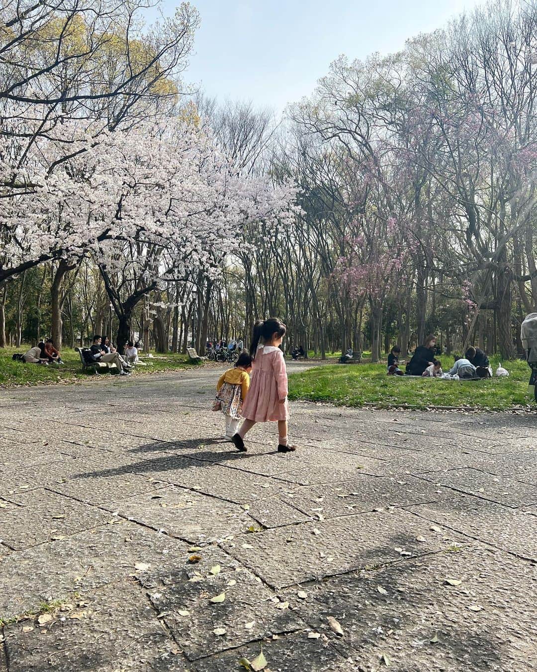 Risako Yamamotoさんのインスタグラム写真 - (Risako YamamotoInstagram)「今年初のお花見🌸👀  高校1年生の時に駅で話しかけてくれた事がきっかけで仲良くなった、大親友のえんな🫶🏽  おばあちゃんになっても私達はお団子食べながらお花見してそうネ👵🏼👵🏼🌸🍡  めっちゃ楽しかった♡ ありがとう💕💕💕  #お花見 #bestie #love #cherryblossom」3月31日 23時22分 - risako_yamamoto
