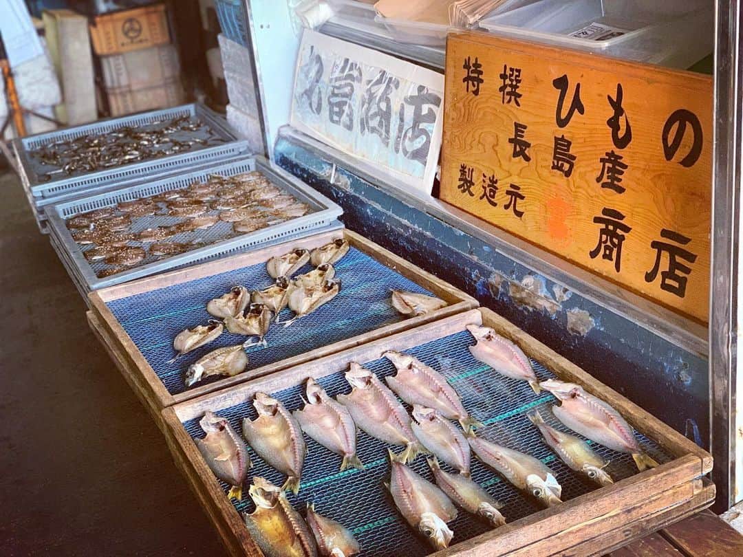 長沢裕さんのインスタグラム写真 - (長沢裕Instagram)「… 港町の風情  #紀北町#さんぽ #お魚 #釣り百景 #思い出  #港町」4月1日 3時49分 - nagasawa_yu