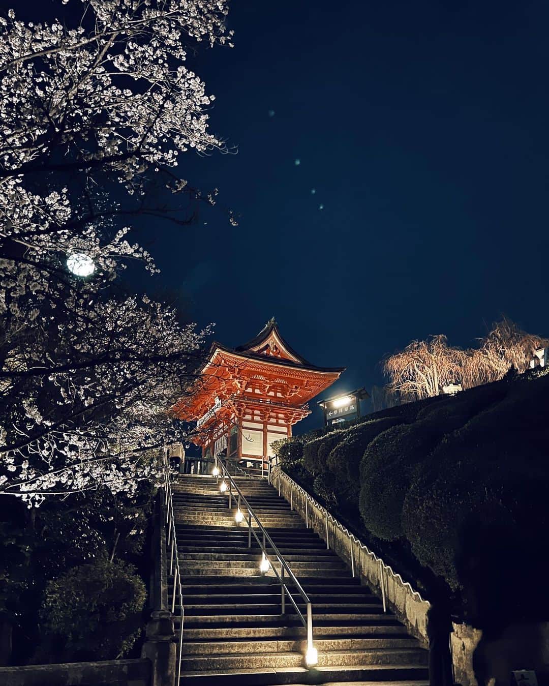 白澤貴子さんのインスタグラム写真 - (白澤貴子Instagram)「🌸🏯🌝  清水寺のライトアップがあまりにも美しかったので備忘録。  フランスから何年かぶりに日本に戻って来た時、桜の美しさに改めて感動したことが昨日のことのように蘇る。  和と桜の共演、心の奥底に響く大好きな景色。  #白澤と京都」4月1日 5時59分 - takakoshirasawa