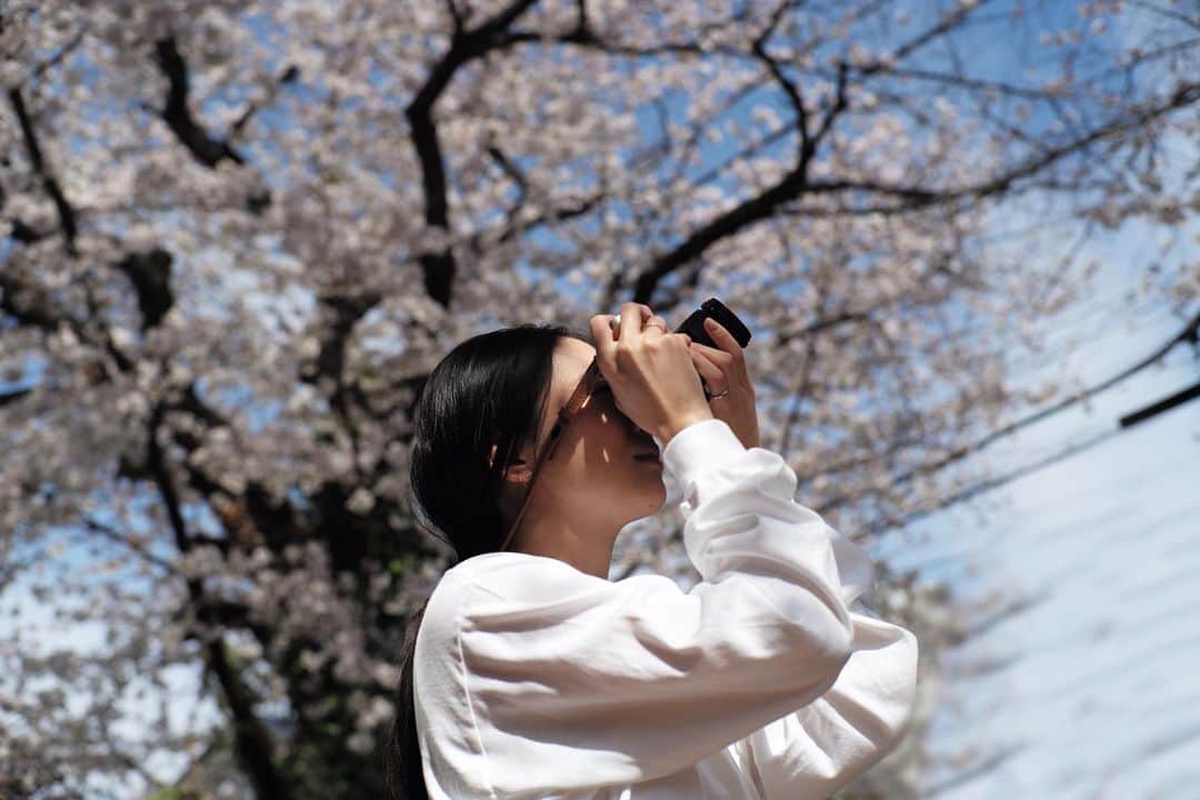 武井咲さんのインスタグラム写真 - (武井咲Instagram)「🌸４月が始まった。 あったかい日もあったり 急に寒かったり 皆さんいかがお過ごしですか？  桜が満開で思わず Leica📷を持ち出した日。 綺麗だったー。 自然が好きだなー。  そろそろ釣れますな。😏🎣」4月1日 11時57分 - emitakei_official