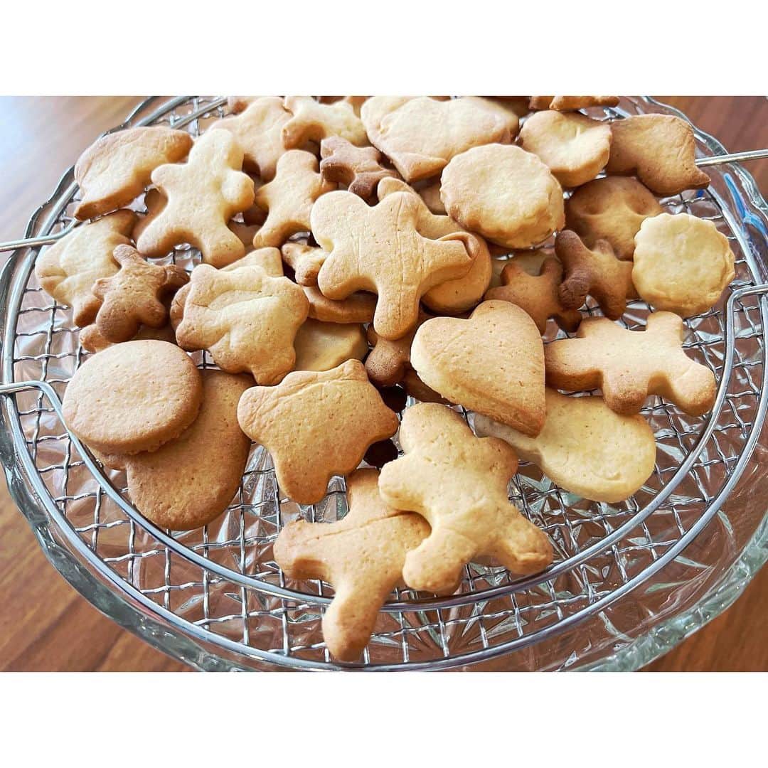 森麻季さんのインスタグラム写真 - (森麻季Instagram)「たくさんの反響ありがとうございます コメントやDMで似たような症状と教えて下さった方、色々な情報を下さった方、本当にありがとうございました （DMは返信できないんです　すみません）  お陰様を持ちまして、私自身の感覚としてはあと1割2割というところまで回復してきました  最初は足首が垂れてしまう感じだったのでスリッパ、それも感覚がないのですっぽ抜けてしまい、そのスリッパを回収するのも歩けないので時間がかかり…というもどかしさ そんなことから段階を経て、つま先歩きも左右踵の上がり具合に差はあるもののできるようになっています  筋力差がなくなる所謂完治までは時間薬しかないかもしれませんがお仕事も少しずつ再開しています リハビリ、お灸、整形外科、トレーニング…良くなるために色々引き続きやってみます  #3歳長男 #2ヶ月ベビー  #この子たちを守らなければと #改めて強く思います #子育て #育児」4月1日 13時25分 - maki.mori_m