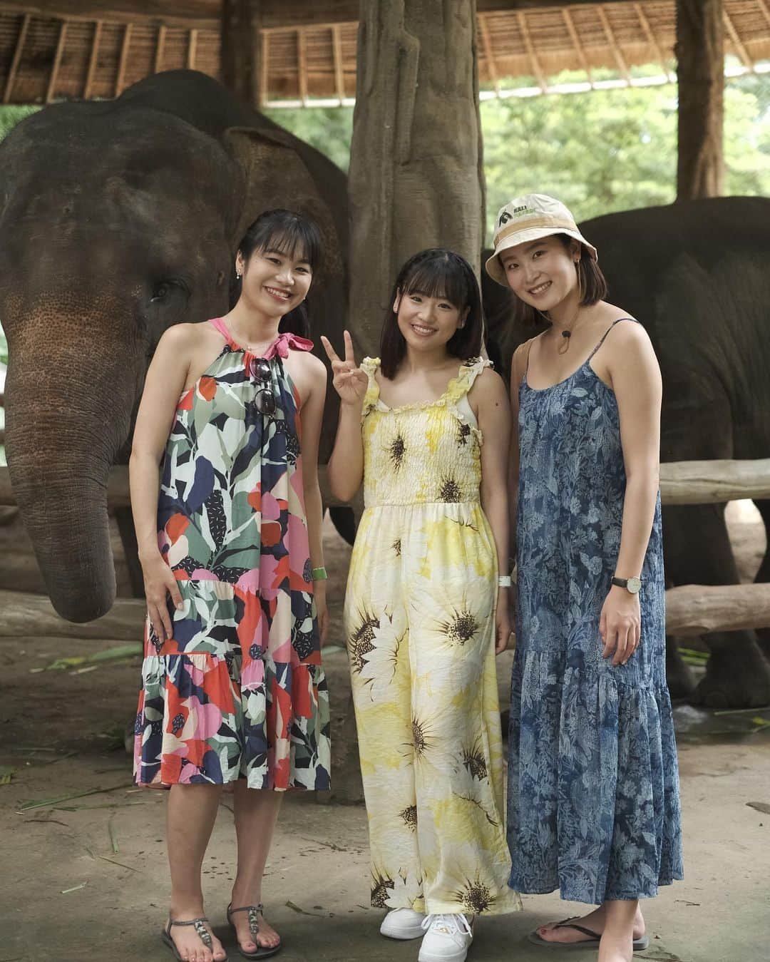 仲川遥香さんのインスタグラム写真 - (仲川遥香Instagram)「ぞうさーん🐘  📸… @bali_gaido_jun  🐘… @balisafari   #bali #balisafari #gajah #バリ島 #バリサファリ #ぞうさん #🐘 #ジャカルタ生活 #仲川遥香」4月1日 14時19分 - haruuuu_chan