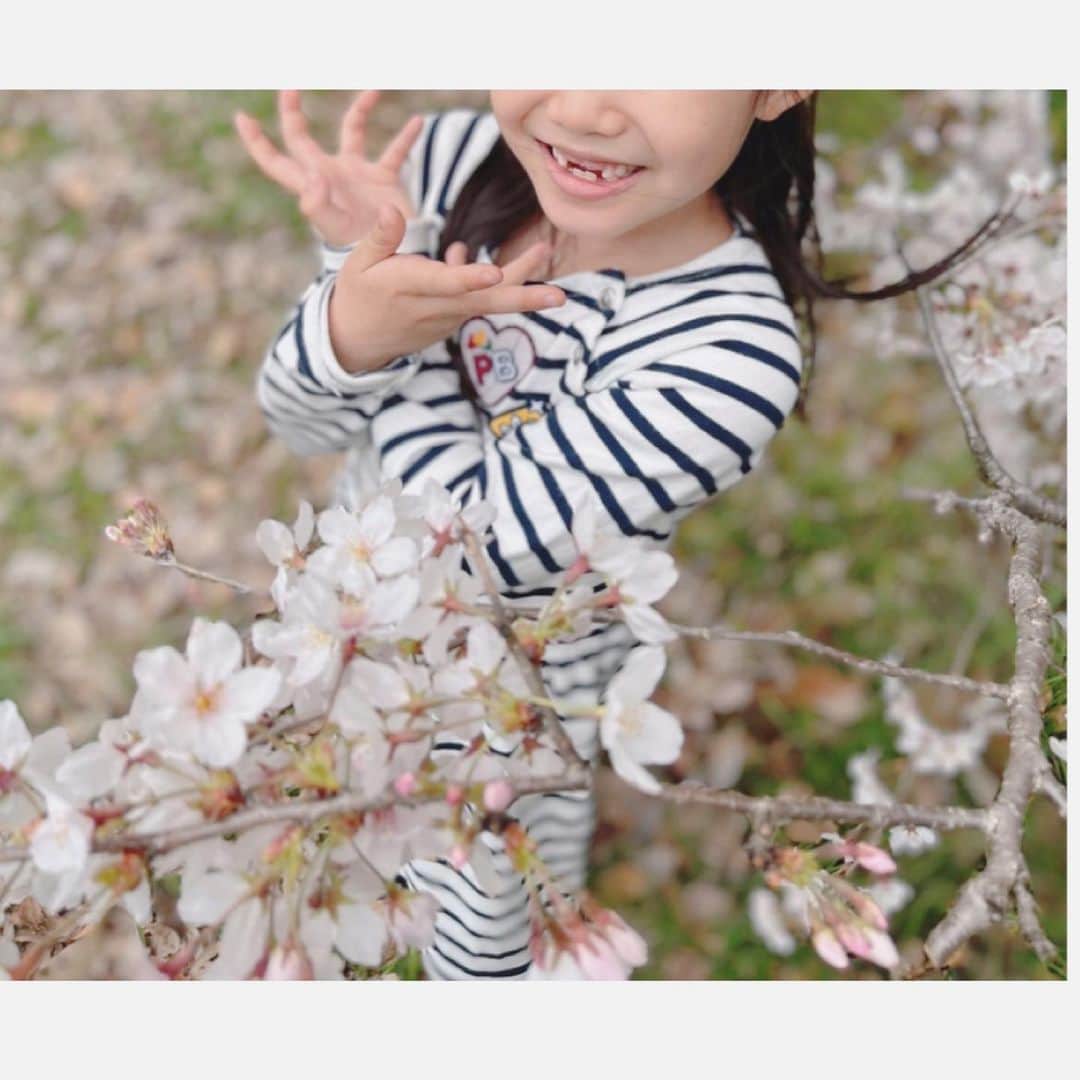 安めぐみさんのインスタグラム写真 - (安めぐみInstagram)「そして、 桜が綺麗ですね🌸  3枚目、桜のポーズだそうです笑✨  今日から４月☺︎  #４月 #桜 #桜ポーズ」4月1日 16時59分 - yasu_megumi_official
