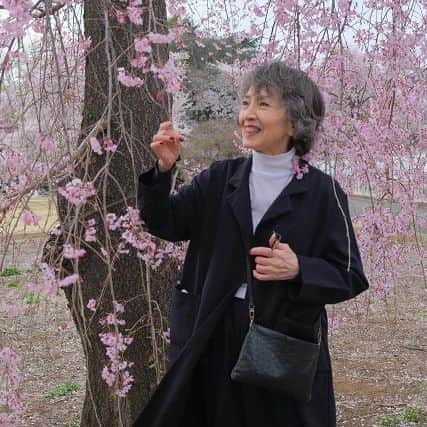 安奈淳さんのインスタグラム写真 - (安奈淳Instagram)「昨日は日本橋三越でのカルチャーサロンの後、新宿御苑へ～ 日本は穏やかで美しいとしみじみ感じます。早く世界に平和が訪れますように。。  来週はみつなかホールでのリサイタルです。ウクライナの人道支援に募金を行いますので、ご協力宜しくお願いします❗️  トークショーにご来場頂きました皆様、有難うございました🙋  #三越カルチャーサロン #桜 #安奈淳」4月1日 20時40分 - annajun0729