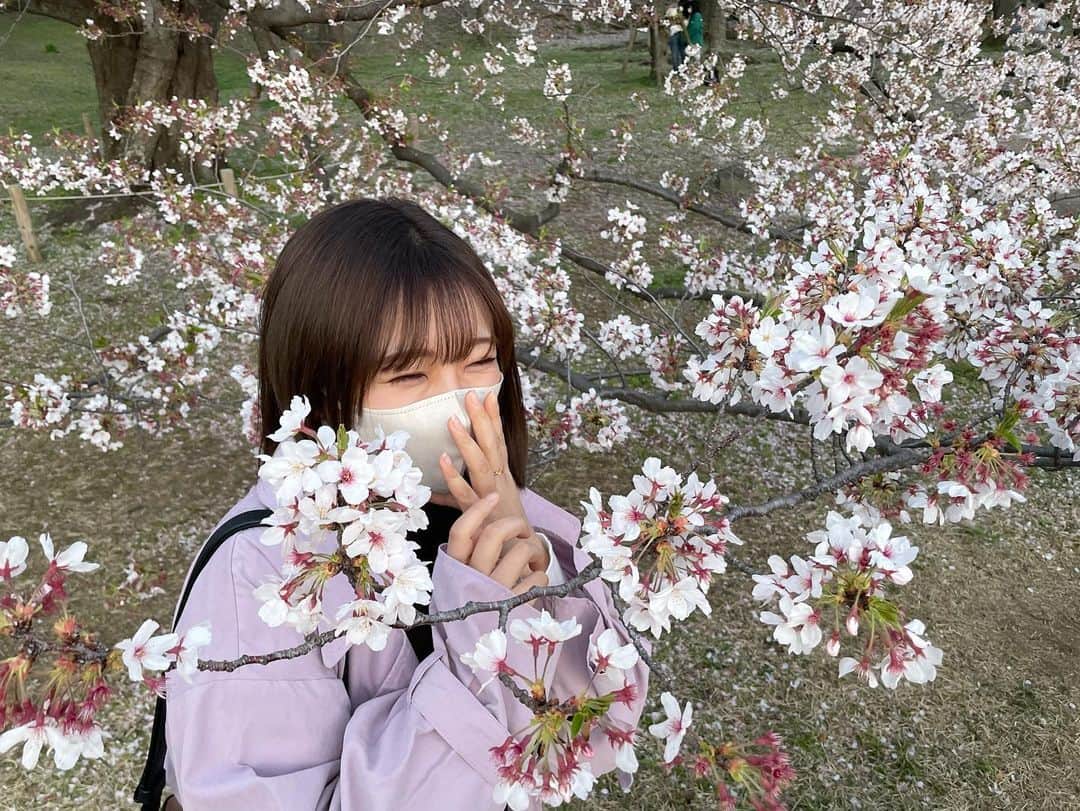 武田智加さんのインスタグラム写真 - (武田智加Instagram)「よく分かんない撮り方して笑ってたはずだけど なんでこんな笑ってたかあんまり記憶ないよね🫶🏻  #桜 #お花見 #舞鶴公園 #大濠公園」4月1日 22時12分 - moka0225_hkt