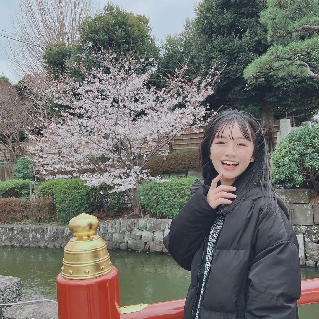 ひまひまチャンネルさんのインスタグラム写真 - (ひまひまチャンネルInstagram)「🌸🌸🌸  今日から4月の始まりですね💭 私は今日から中学3年生になります！！  緊張しますが、とても楽しみです！  そして！  今日はエイプリルフール🧖‍♀️ 私は仕掛けてきた全員の嘘にまんまと引っかかりました😭笑  あ！そう思えば！今日告白されました～♥️ ・ ・ ・ 突然の嘘ごめんなさい🤫笑 どうしても嘘を言いたかったんです！🥺  また明日も頑張ろうね💪♥️ そろそろ春休みの宿題を始めないと…🤫   #ひまひまチャンネル #ひまひま #エイプリルフール #4月 #1日」4月1日 22時37分 - himahima_channel
