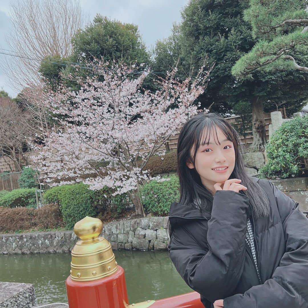 ひまひまチャンネルさんのインスタグラム写真 - (ひまひまチャンネルInstagram)「🌸🌸🌸  今日から4月の始まりですね💭 私は今日から中学3年生になります！！  緊張しますが、とても楽しみです！  そして！  今日はエイプリルフール🧖‍♀️ 私は仕掛けてきた全員の嘘にまんまと引っかかりました😭笑  あ！そう思えば！今日告白されました～♥️ ・ ・ ・ 突然の嘘ごめんなさい🤫笑 どうしても嘘を言いたかったんです！🥺  また明日も頑張ろうね💪♥️ そろそろ春休みの宿題を始めないと…🤫   #ひまひまチャンネル #ひまひま #エイプリルフール #4月 #1日」4月1日 22時37分 - himahima_channel
