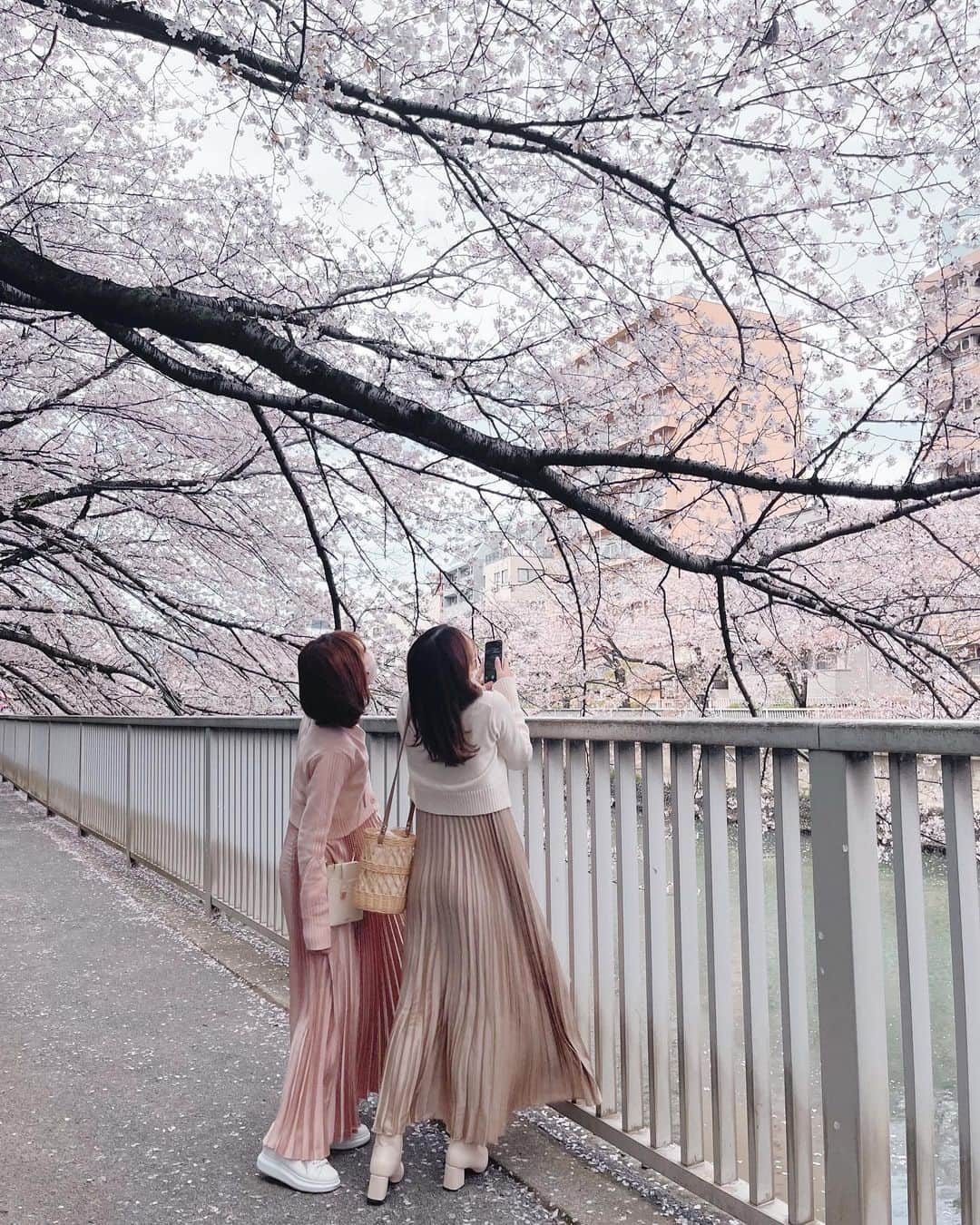 ほしのこさんのインスタグラム写真 - (ほしのこInstagram)「桜🌸 お揃いのワンピを着て お仕事前に少しお散歩してきました𓈒𓂂𓏸  #桜#ワンピコーデ」4月2日 16時10分 - hoshinoko728