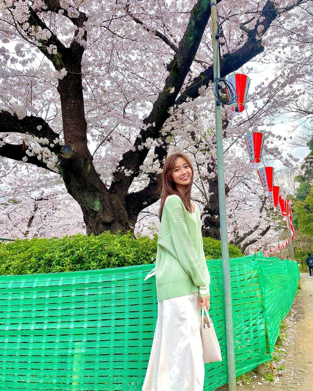 間瀬遥花さんのインスタグラム写真 - (間瀬遥花Instagram)「. 桜と緑合うかなーと思ってこの服着てったけど、 ネットの緑強くて全部持ってかれた🦎🦎 . . .  #桜 #満開 #満開の桜 #お花見 #お花見日和 #お花見散歩 #花見 #花見日和 #上野 #上野公園 #お花見コーデ #花見コーデ #春コーデ #春服 #春服コーデ #春カラー #春コーディネート #春色コーデ #春ファッション #春ニット #春色」4月2日 17時44分 - maseharu_929