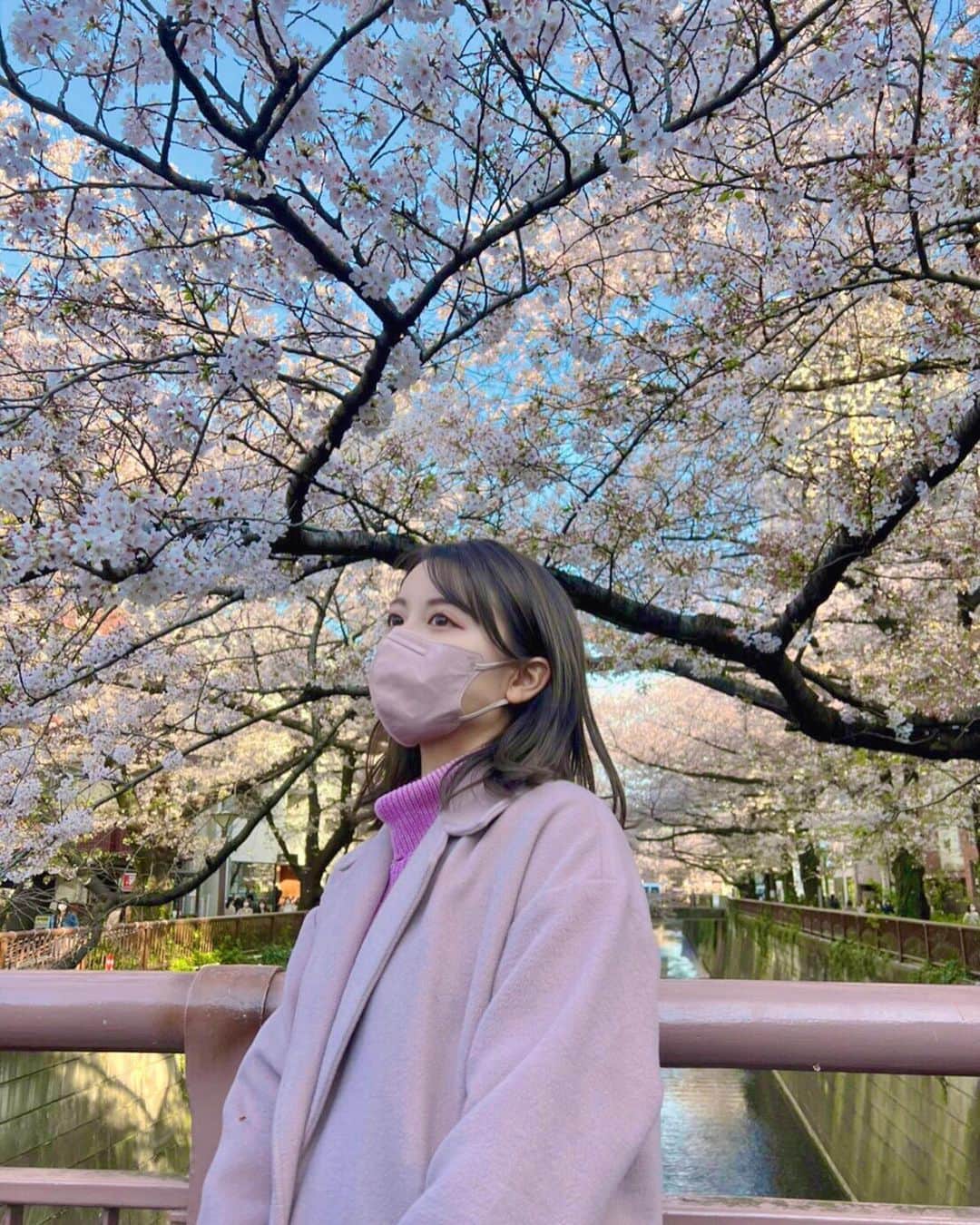西村まどかさんのインスタグラム写真 - (西村まどかInstagram)「ぷらっとお花見桜コーデ🌸🍡  実家の庭に枝垂れ桜があったんだけど、 夜になると何故かすっごい怖かった、 私の一番古い、桜の思い出🤭 ㅤㅤㅤㅤㅤㅤㅤㅤㅤㅤㅤㅤㅤ 散ってる時までも綺麗で儚くて。 桜が"舞う"、"桜吹雪"なんて 日本語も美しい表現ですよね🍃 ㅤㅤㅤㅤㅤㅤㅤㅤㅤㅤㅤㅤㅤ 来年は、ゆっくりお花見出来る 世の中になってるといいな✌︎  #桜 #お花見 #目黒川 #桜橋  #ピンクコーデ#ピンクメイク #春コーデ #ナチュラルメイク  #cherryblossom #pink #ootd」4月2日 17時48分 - madoka_nsmr