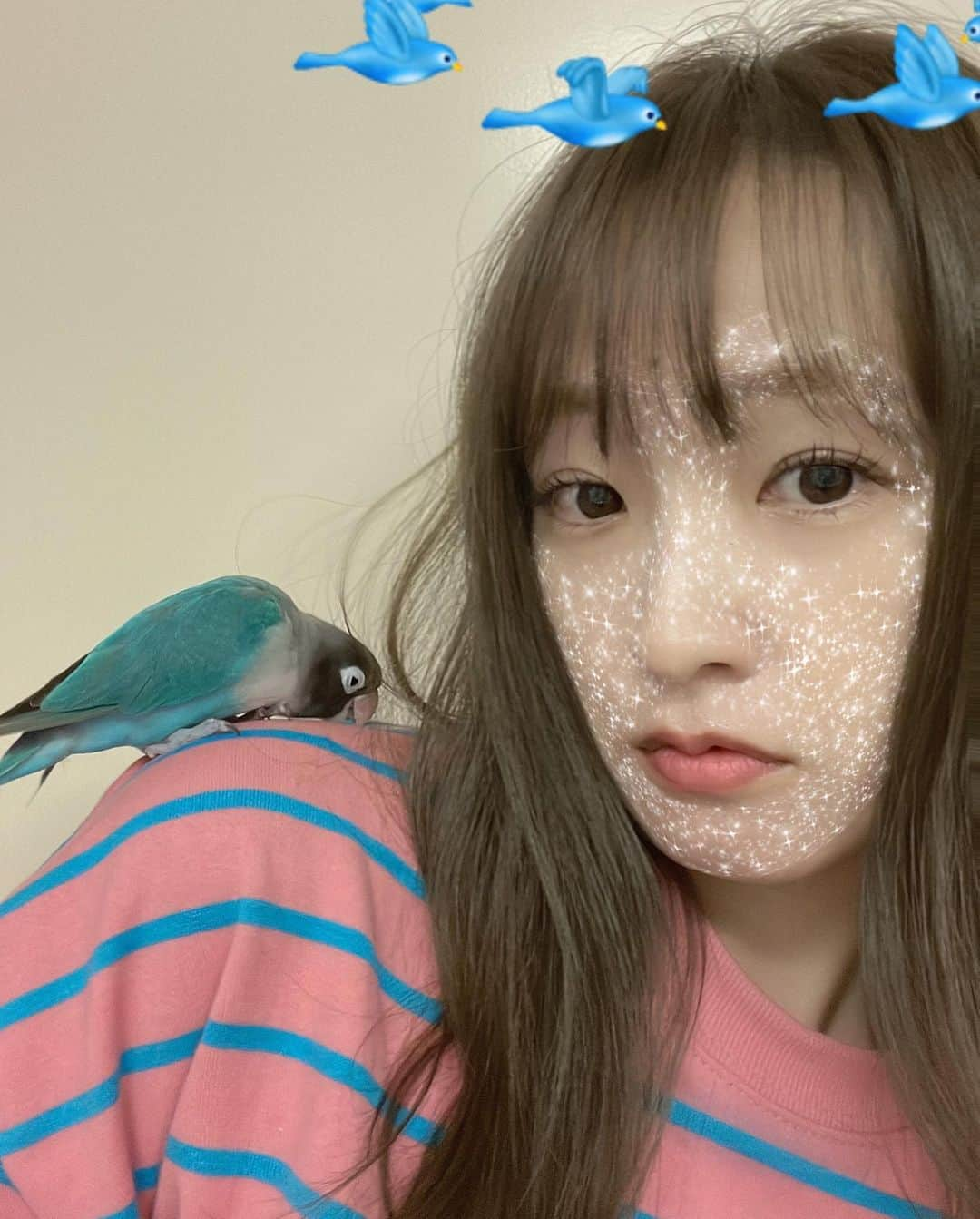 大沢あかねさんのインスタグラム写真 - (大沢あかねInstagram)「我が家の家族を紹介します🦜  ボタンインコのトビーちゃんです❣️たまに、こうして遊ぶと 鋭いくちばしで楽しそうに？頭皮を本気で突っついてきます🤣 私の頭皮を突っつくのに、必死で撮影している事に気づいていません…笑。 が、しかしっ❗️４枚目、、、 いよいよバレました。😆💦」4月2日 18時09分 - oosawa_akane.official