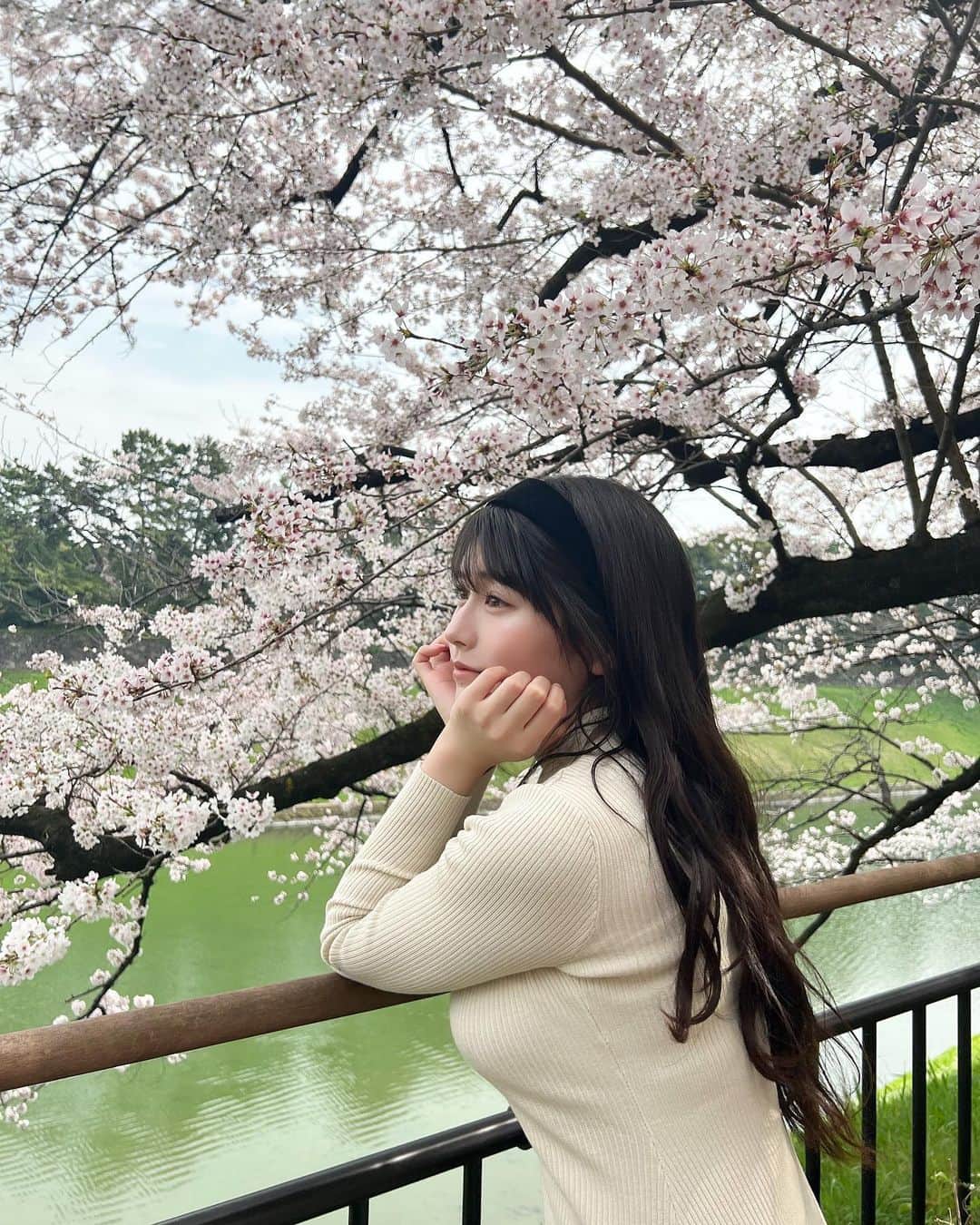 ちとせよしのさんのインスタグラム写真 - (ちとせよしのInstagram)「毎年、桜の季節になると日本に生まれて良かったなあって改めて思います🌸 みんなはお花見した？◡̈  #桜 #お花見 #千鳥ケ淵公園 #cherryblossom」4月2日 18時42分 - chitose_yoshino