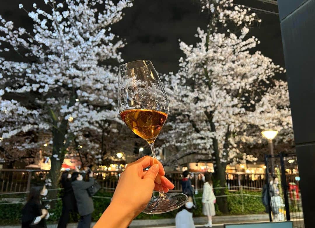 石條遥梨さんのインスタグラム写真 - (石條遥梨Instagram)「・ ・ ・ 🌸お花見ワイン🌸 ロゼが映える♡ ・ ・ ・ イグレック、パヴィヨンブランみたいなパッションフルーツ系の香りが強いワイン、好きだなぁ どれも美味しかったなぁ、、🤭💛 ・ ・ ・ #お花見#目黒川#ワイン会」4月2日 21時37分 - shijoharu