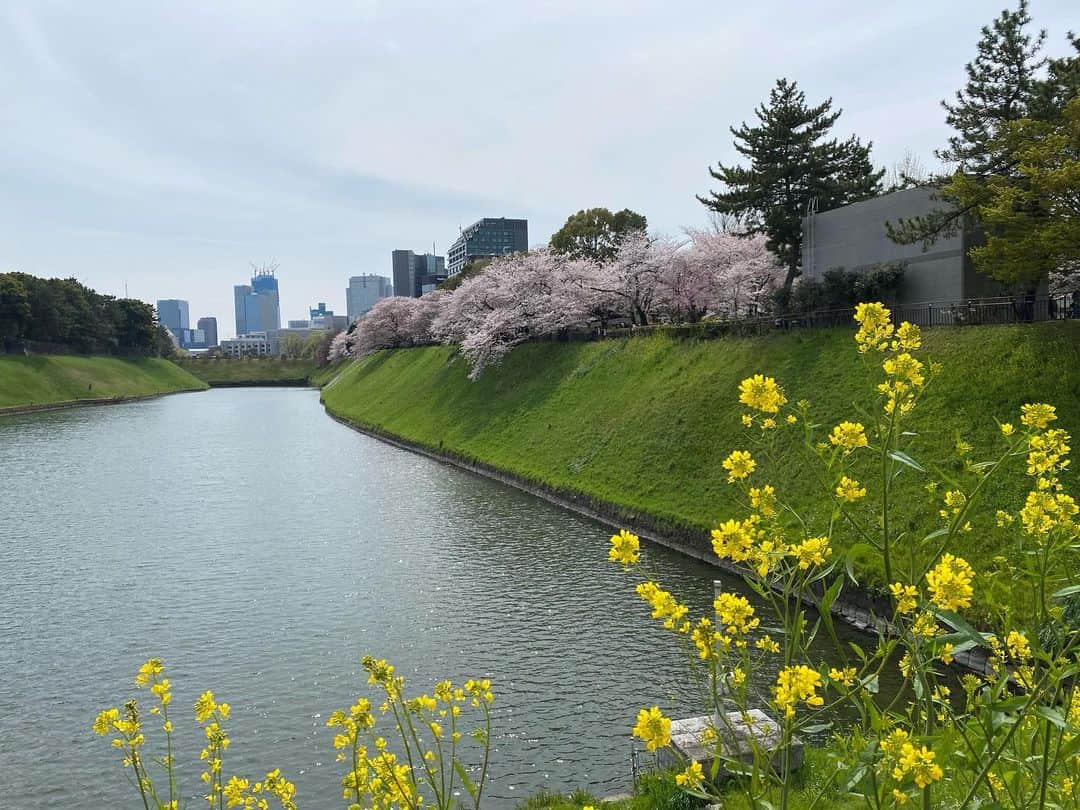 川村エミコさんのインスタグラム写真 - (川村エミコInstagram)「桜都度都度観ながらラン🌸🏃‍♀️きもちかったです。  #お花見ラン #桜都度都度見ながらラン #ランニング #5.14キロ #ランニング日和 #4人ラン #今日も #ぜーはーぜーはーラン #息切れラン #走るまでは億劫だけど #走ったらこっちのもん！ #リフレッシュ #リフレッシュラン #桜と菜の花」4月2日 23時29分 - kawamura_emiko