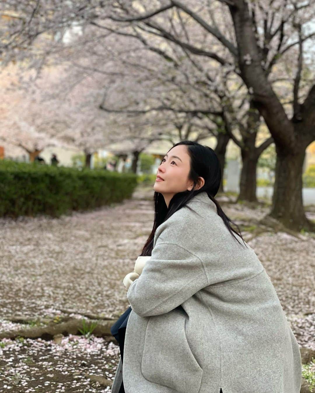 園都さんのインスタグラム写真 - (園都Instagram)「🌸🌸🌸 #桜 #spring #cherryblossom」4月2日 23時31分 - miyakosono_official