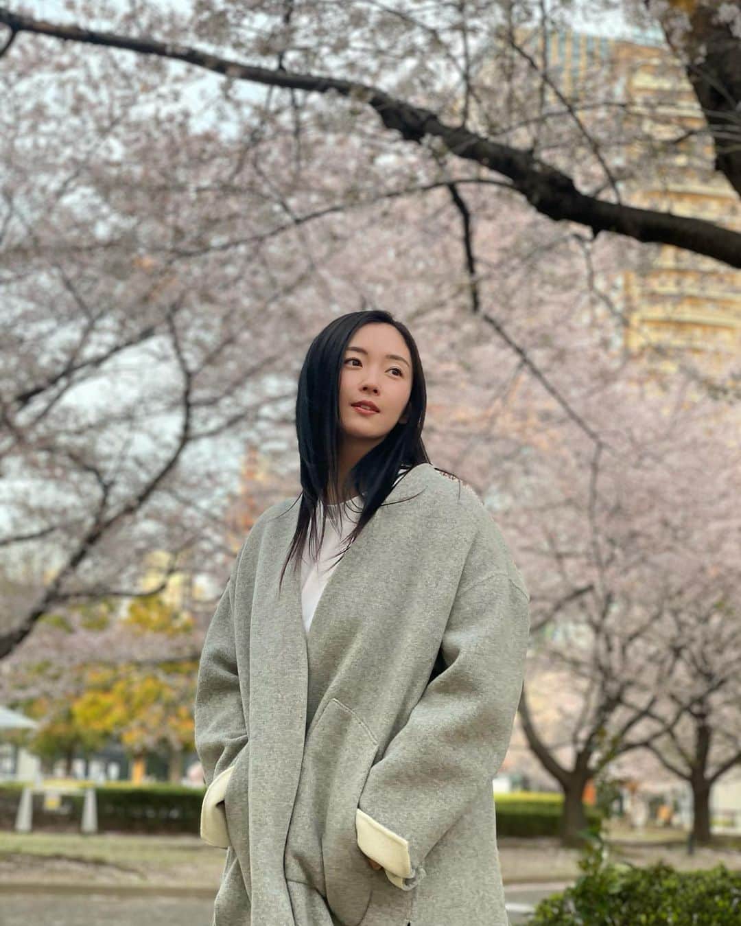 園都さんのインスタグラム写真 - (園都Instagram)「🌸🌸🌸 #桜 #spring #cherryblossom」4月2日 23時31分 - miyakosono_official