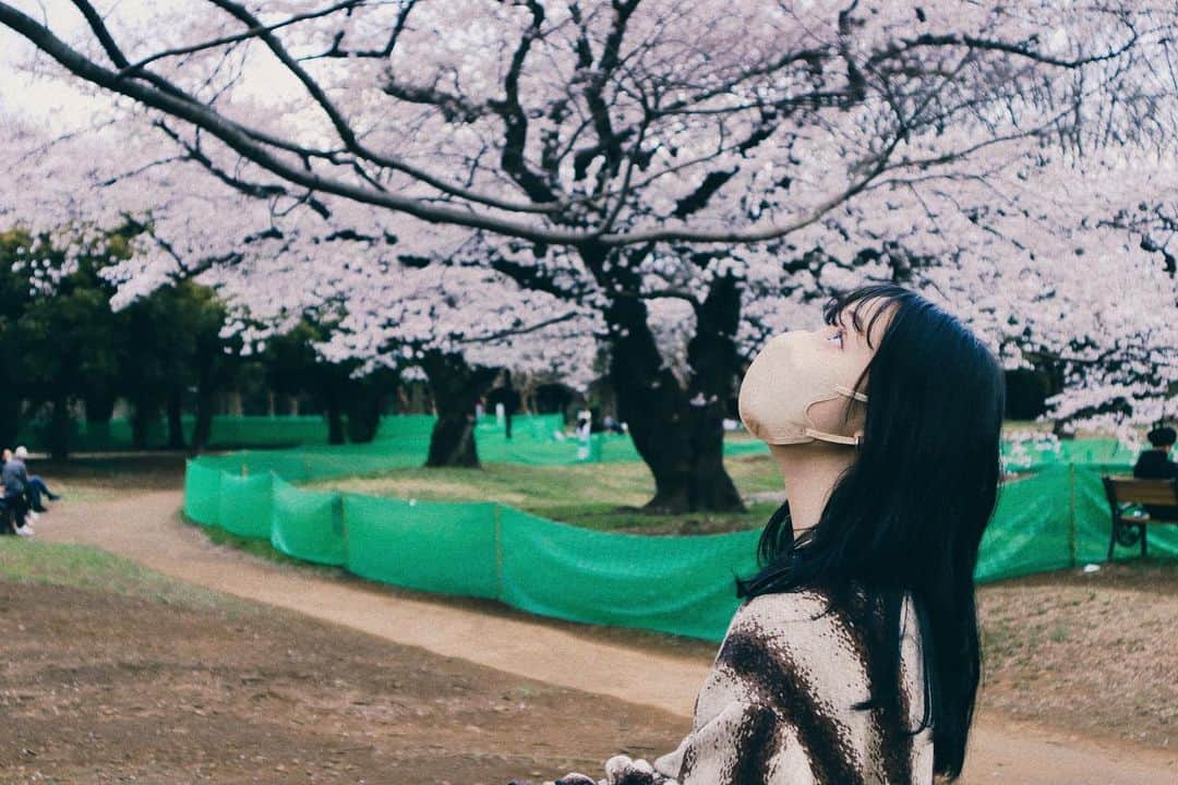 山田愛奈さんのインスタグラム写真 - (山田愛奈Instagram)「.  リールにあげた写真と あげてない写真も  #リールも是非見てね #春 #桜 #photo #Spring #2022」4月3日 12時57分 - aina_yama