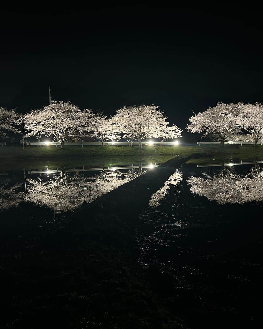 林村ゆかりさんのインスタグラム写真 - (林村ゆかりInstagram)「夜桜の、水鏡感動しました！ 美しいものを視覚・嗅覚で感じ・体感すること。 聴覚はカエル合唱🐸笑 涙が出るほど綺麗な景色ってあるんですね✨  #夜桜#花見スポット#千葉花見スポット #札森の桜並木」4月3日 16時55分 - yukarice0