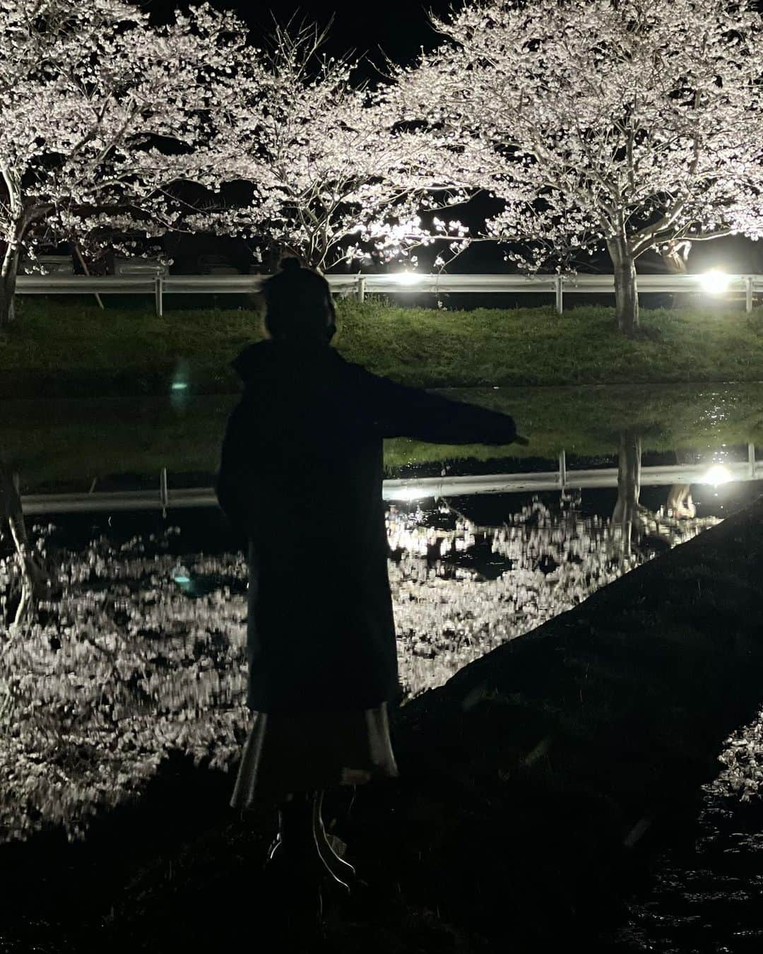 林村ゆかりさんのインスタグラム写真 - (林村ゆかりInstagram)「夜桜の、水鏡感動しました！ 美しいものを視覚・嗅覚で感じ・体感すること。 聴覚はカエル合唱🐸笑 涙が出るほど綺麗な景色ってあるんですね✨  #夜桜#花見スポット#千葉花見スポット #札森の桜並木」4月3日 16時55分 - yukarice0