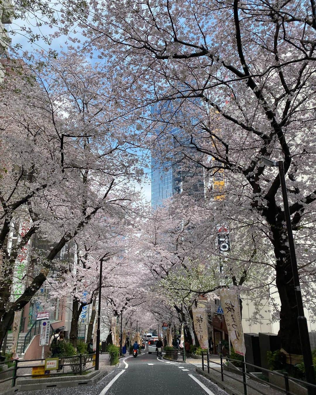 篠田麻里子さんのインスタグラム写真 - (篠田麻里子Instagram)「お花見しましたかー？🌸 今日はお花見予定が雨になり🥲 👨実家でお祝い✨ ノンタンケーキ🎂可愛い😍 お世話セットもらってご機嫌でした😘 もう桜散っちゃう🌸🥲 #花見#出遅れた」4月3日 21時15分 - shinodamariko3
