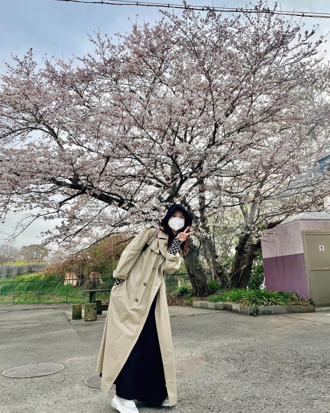 玉井詩織さんのインスタグラム写真 - (玉井詩織Instagram)「気づけば4月ですね！そろそろ散っちゃうよね。 今年も綺麗に咲いてくれてありがとう🌸 前にあーりんが撮ってくれた桜と私☺️ ついでに私服。ふらーっと入ったヴィンテージショップで出会ったトレンチコート！出会いの季節ですね😌 #april #cherryblossom」4月3日 22時06分 - shioritamai_official