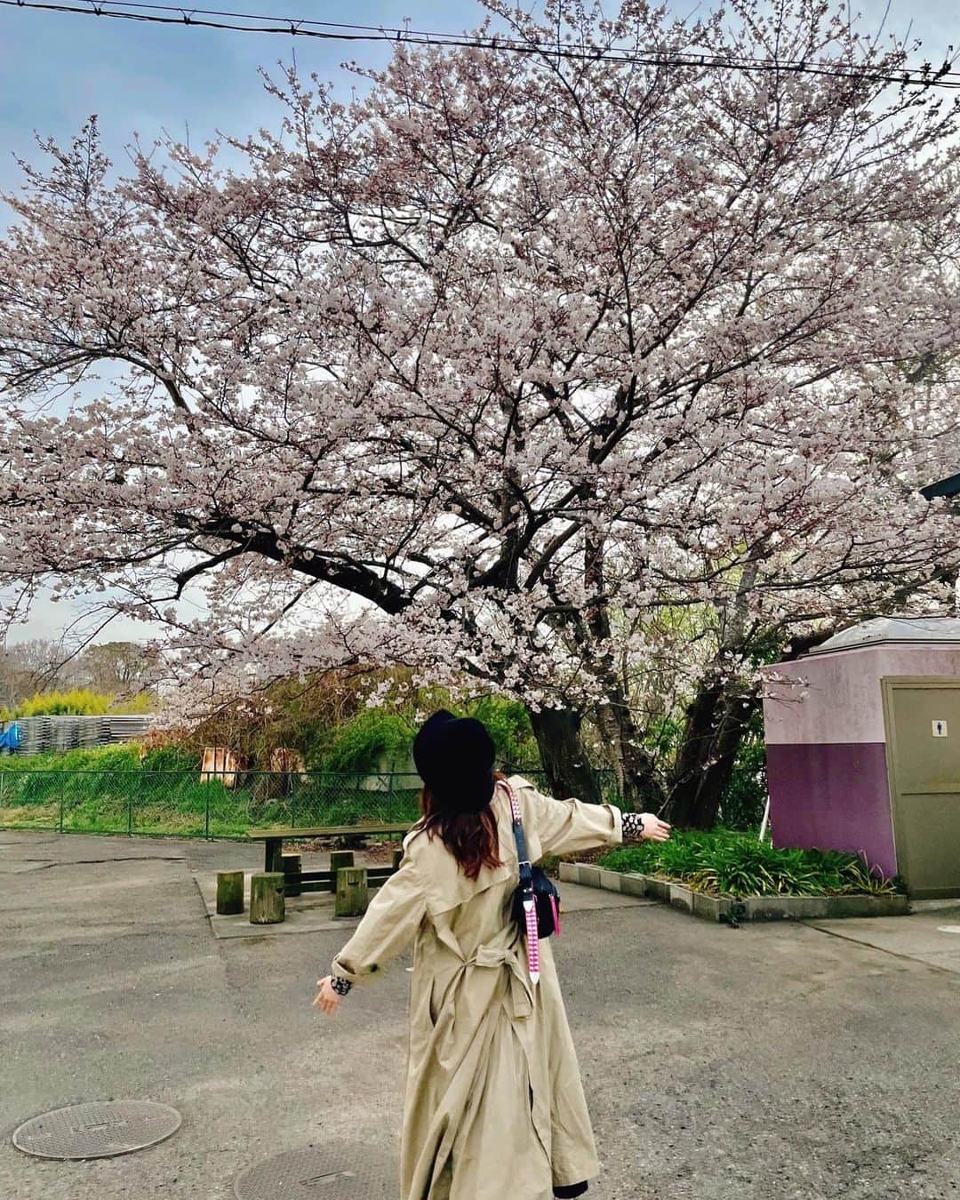 玉井詩織さんのインスタグラム写真 - (玉井詩織Instagram)「気づけば4月ですね！そろそろ散っちゃうよね。 今年も綺麗に咲いてくれてありがとう🌸 前にあーりんが撮ってくれた桜と私☺️ ついでに私服。ふらーっと入ったヴィンテージショップで出会ったトレンチコート！出会いの季節ですね😌 #april #cherryblossom」4月3日 22時06分 - shioritamai_official