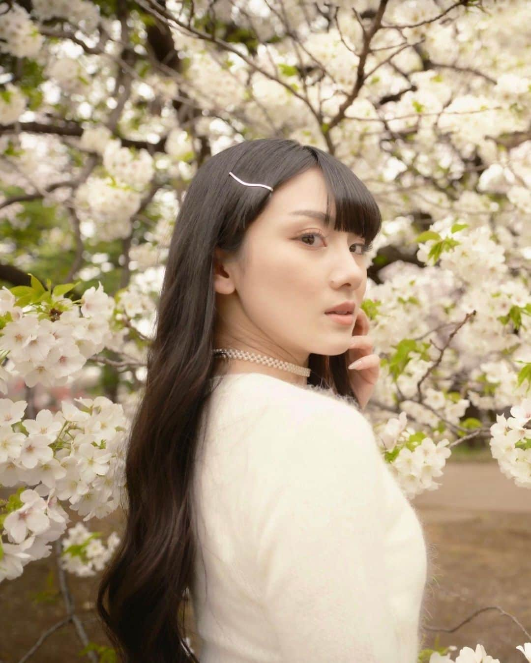 長谷川晴奈さんのインスタグラム写真 - (長谷川晴奈Instagram)「色んな種類の桜が咲いていたから 桜の色が違うだけで雰囲気も変わるね🌸 @toshi_uncanny_b 📸  #さくら　#桜　#春　#作品撮り　#ストリートスナップ　#春服　#新宿御苑　#お花見　#フォトグラファー　#photography #camera #ファインダー越しの私の世界」4月3日 22時21分 - haruna_hasegawa71