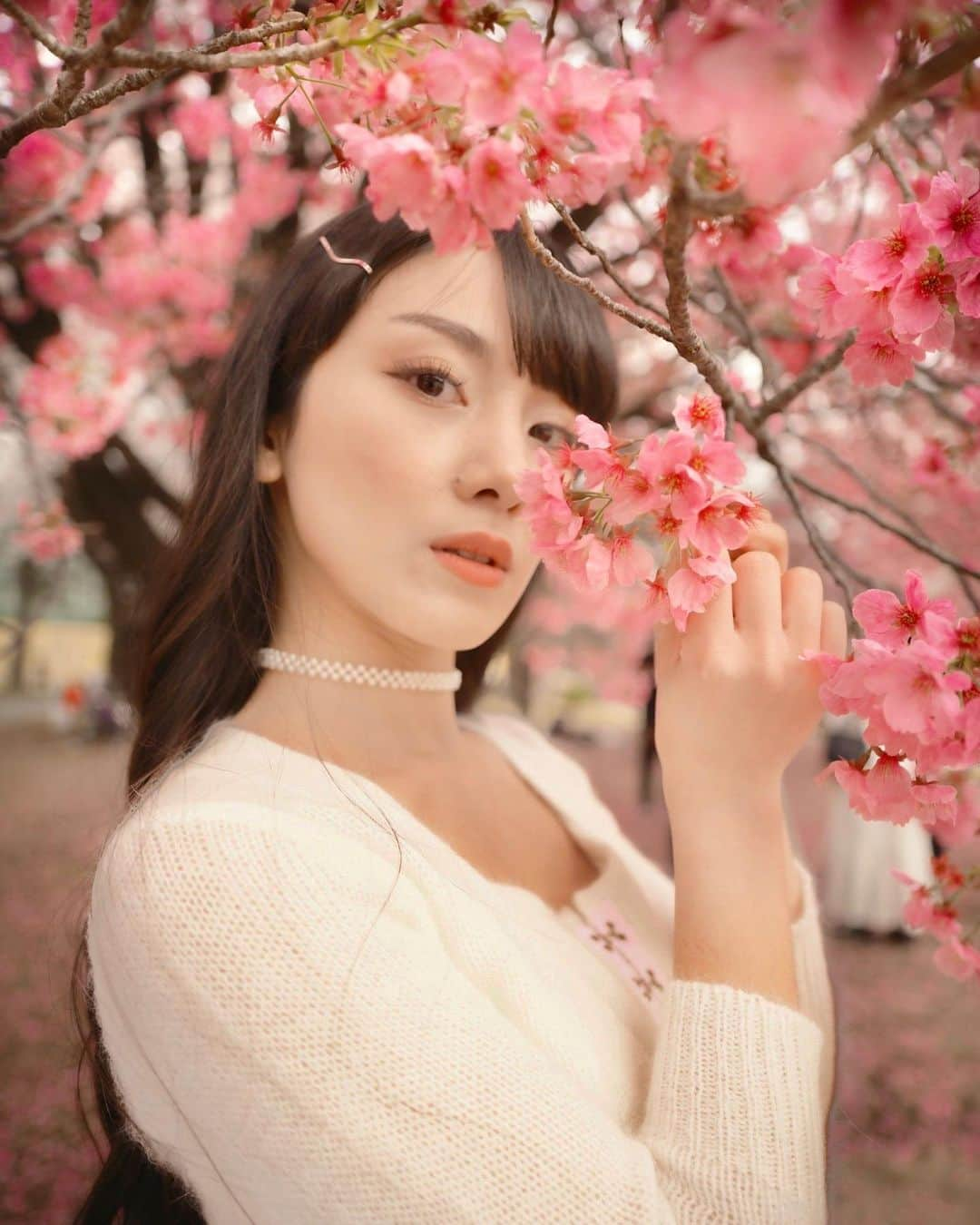 長谷川晴奈さんのインスタグラム写真 - (長谷川晴奈Instagram)「色んな種類の桜が咲いていたから 桜の色が違うだけで雰囲気も変わるね🌸 @toshi_uncanny_b 📸  #さくら　#桜　#春　#作品撮り　#ストリートスナップ　#春服　#新宿御苑　#お花見　#フォトグラファー　#photography #camera #ファインダー越しの私の世界」4月3日 22時21分 - haruna_hasegawa71