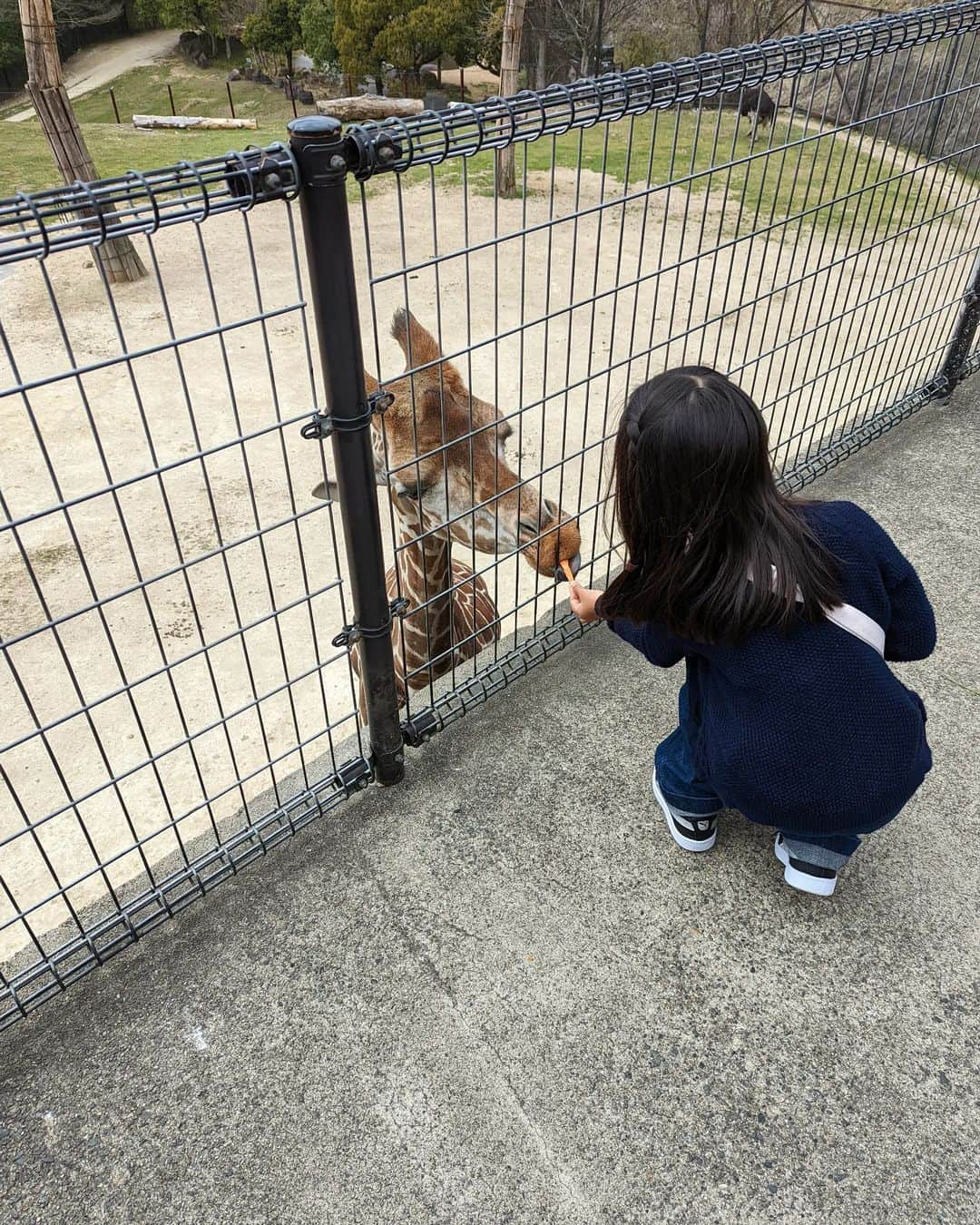 tamiさんのインスタグラム写真 - (tamiInstagram)「* #お土産 *  春休みで沖縄から帰省していたお姉ちゃんと姪っ子からのお土産と、 父と母からのお裾分けと。  いつもいつもありがとうございます😋  昨日はお姉ちゃん達と 姫路セントラルパークに行ってきたよ。 🦓🎡 久しぶりのテーマパーク楽しかった♡  * #沖縄土産 #沖縄そば#軟骨ソーキ #黒にんにく#箕面ビール #姫路セントラルパーク」4月4日 18時32分 - tami_73