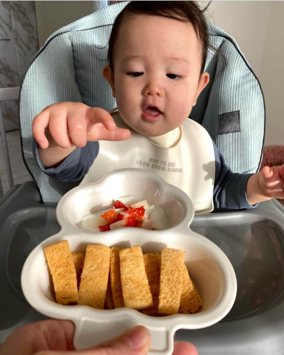 ハミ さんのインスタグラム写真 - (ハミ Instagram)「▽ 離乳食後期👶🏻🥣 最近の息子ご飯をまとめてみました🍴 （ちゃんと盛り付けた日だけ🤗笑）  離乳食スケジュールは  7:30に朝食🥪 11:30に昼食🍝 15:00におやつ🍌 18:30に夕飯🍚  な感じ👩🏻‍🍳  毎日もりもりよく食べてくれています🌷  食べられる食材がだいぶ増えて、前より離乳食作りが楽しくなりました🍳 ストックの消費早過ぎて焦るけど😂💨  食器は @pigeon_official.jp のセット🥣✨  木の形が可愛い🌳💕 レンジも食洗機も🆗で、使い勝手とっても良きです🥰 毎日何度も使う物だから、使いやすくてテンション上がる物を選びたい🌈 そんな気持ちにピッタリでお気に入りです❤️  掴み食べのレパートリーをもっと増やしていきたいな〜𓎩𓌉𓇋 ‎𓈒𓂂𓏸  #離乳食 #離乳食後期 #離乳食記録 #ピジョン #ピジョンKIPPOI #離乳食準備 #出産祝い #PR」4月4日 18時52分 - hami0519