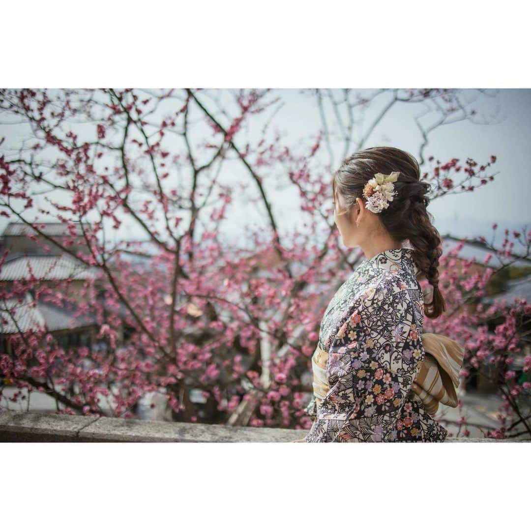 梅山茜さんのインスタグラム写真 - (梅山茜Instagram)「. ＊そうだ、京都行こう＊ . 先日とーっても久しぶりに着物を着ました🌿 この日は暖かくて早咲きの桜がちょうど咲いていて 道を歩いていてもとっても気持ちよかったです🌸 (載せるの遅くてソメイヨシノ普通に咲いてるよね、、) 京都、お仕事でめちゃくちゃ行ってるのに プライベートでも行くって好きすぎないか😂 でもそれぐらい京都は何度行っても楽しめます⛩ 新年度も京都でのお仕事たくさんなので がんばっていきまーす✊🏻 たちまち明日の「きょうとDays」見てね🥰  友達がたくさん良い写真を撮ってくれたので また投稿させてください〜💛  (写真の時だけ瞬間でマスク外しました〜😷) . #フリーアナウンサー#アナウンサー#女子アナ#京都#着物#京都観光#着物観光#着物ヘア#桜#清水寺#八坂神社#祇園#着物レンタル#着物女子#一眼レフ#カメラ女子#プロカメラマン#ヘアアレンジ#きょうとdays#kyoto#kbs京都」4月4日 19時05分 - umeyama_akane
